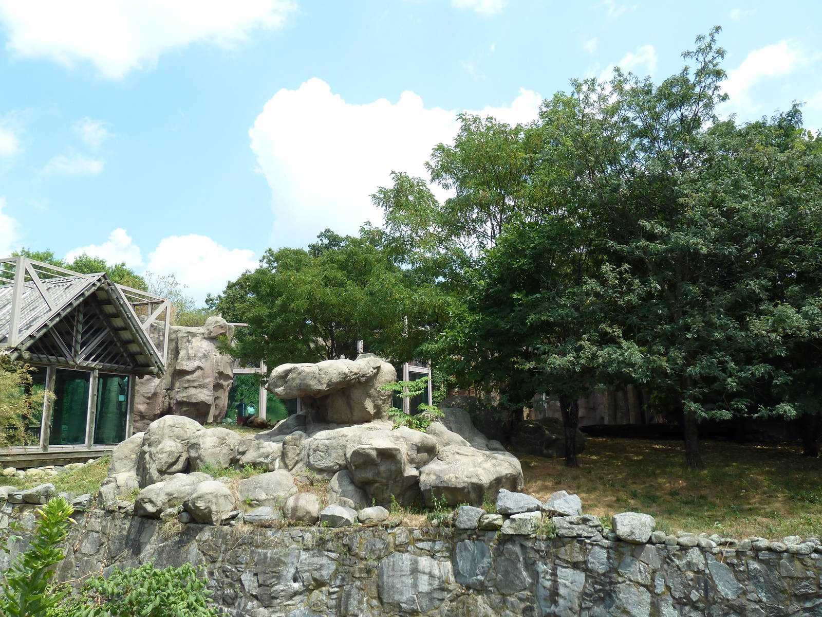 Lion Exhibit