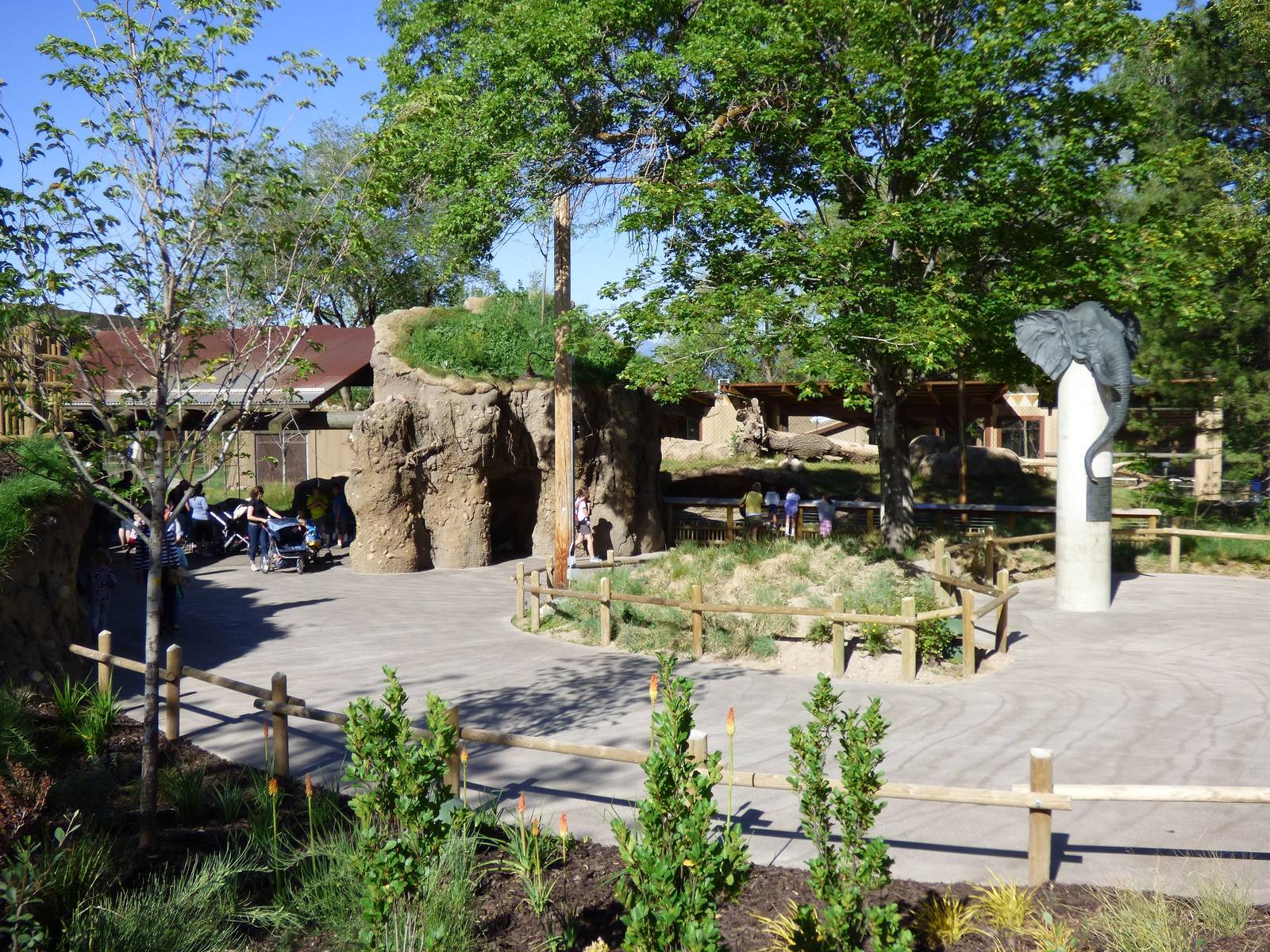 Lion Exhibit