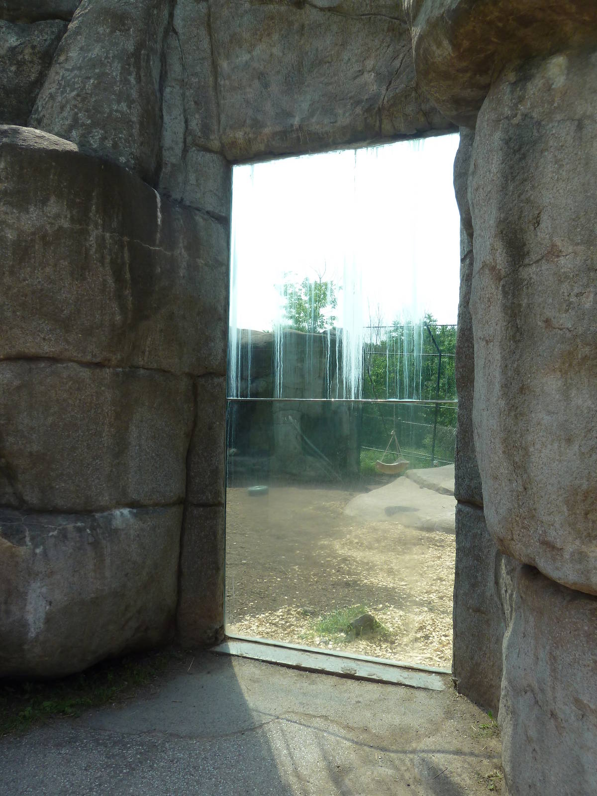 Lion Exhibit