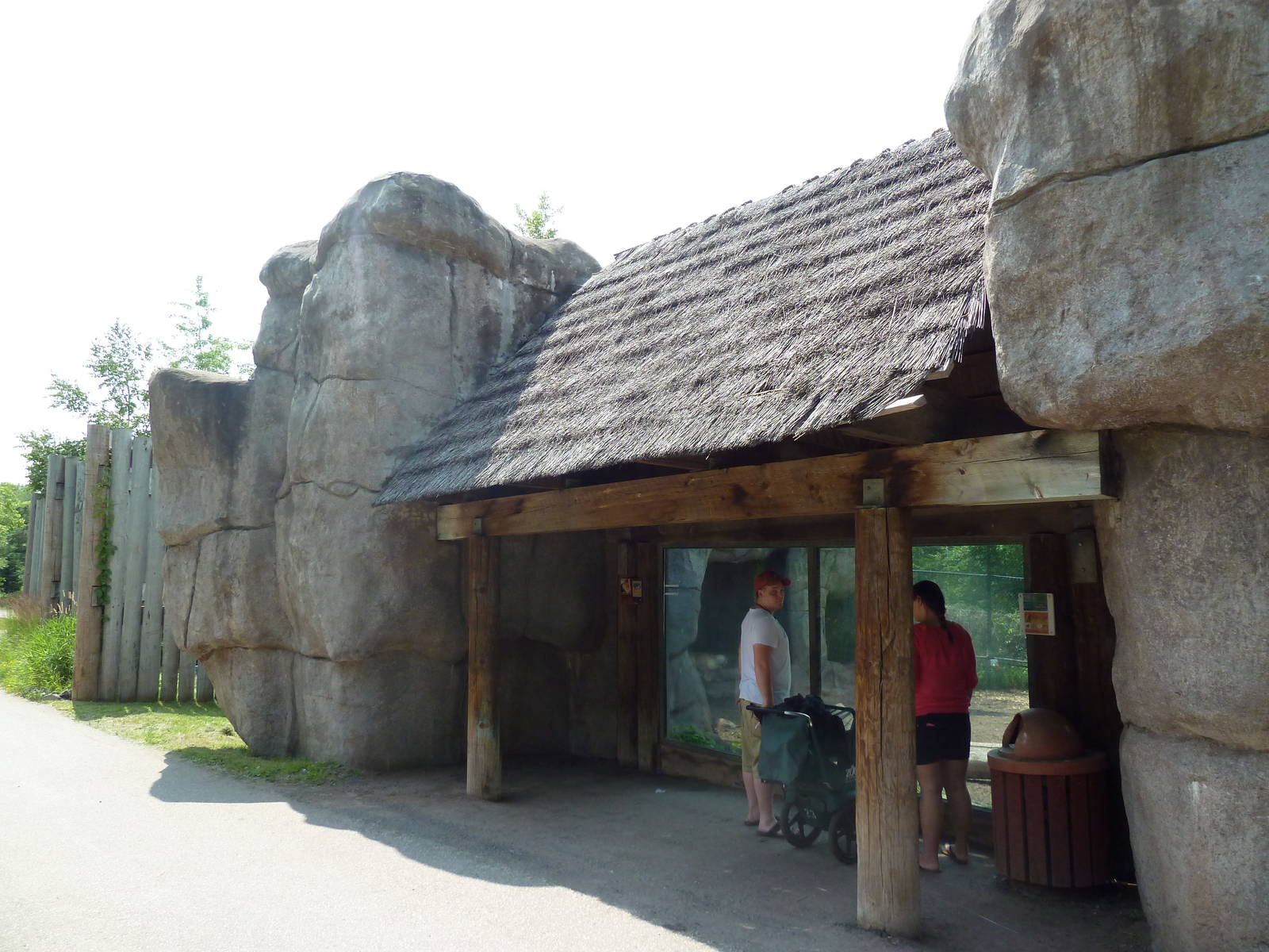 Lion Exhibit