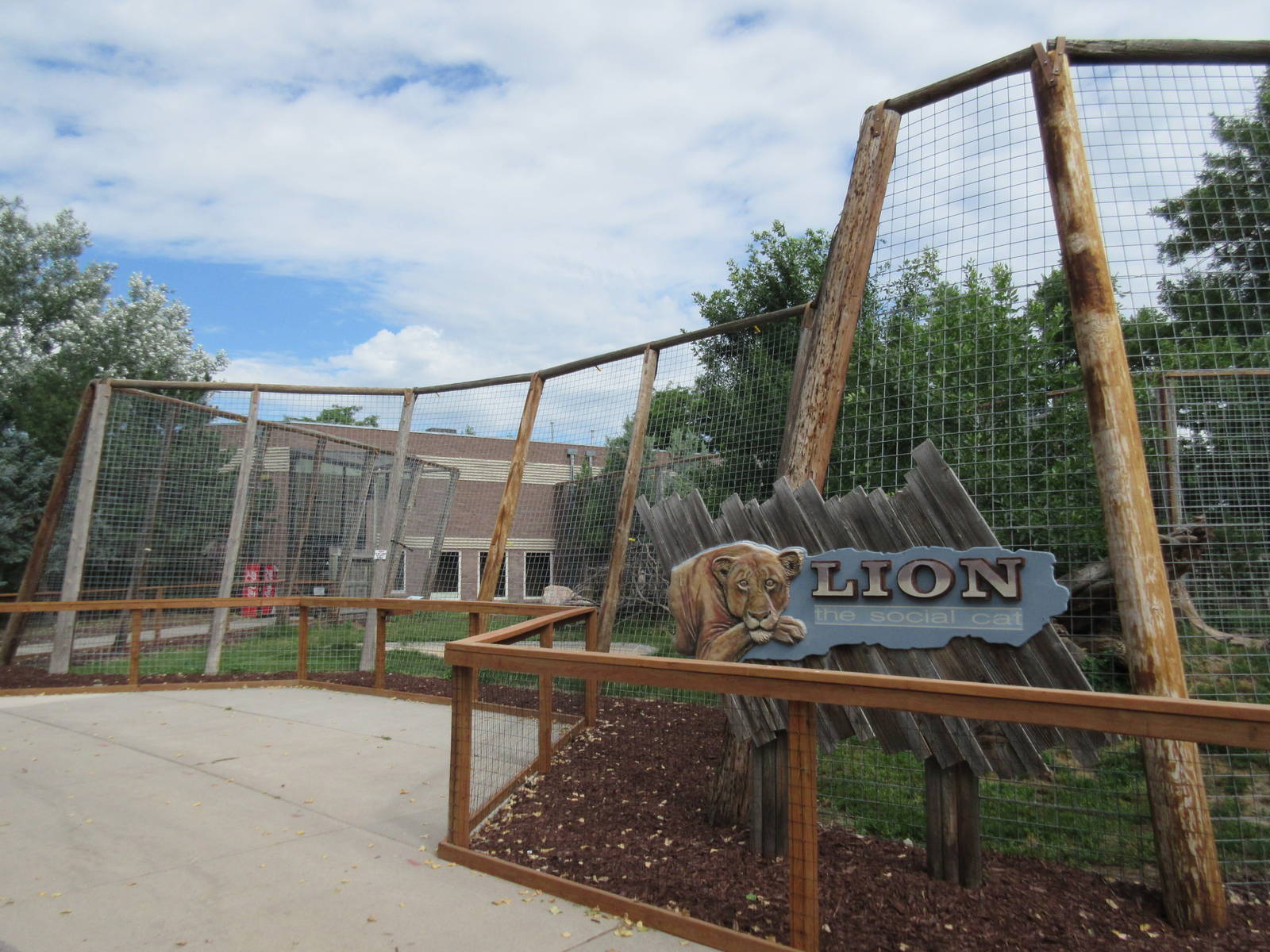 Lion Exhibit