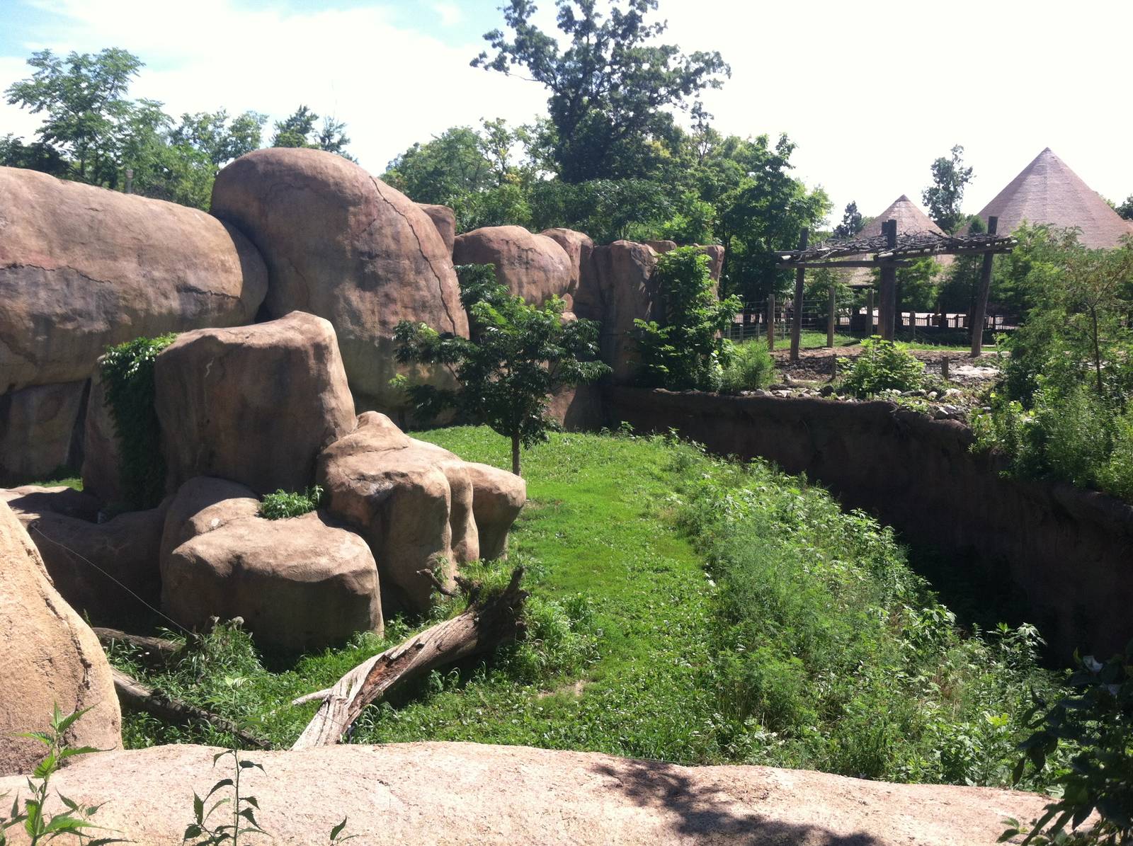 Lion Exhibit