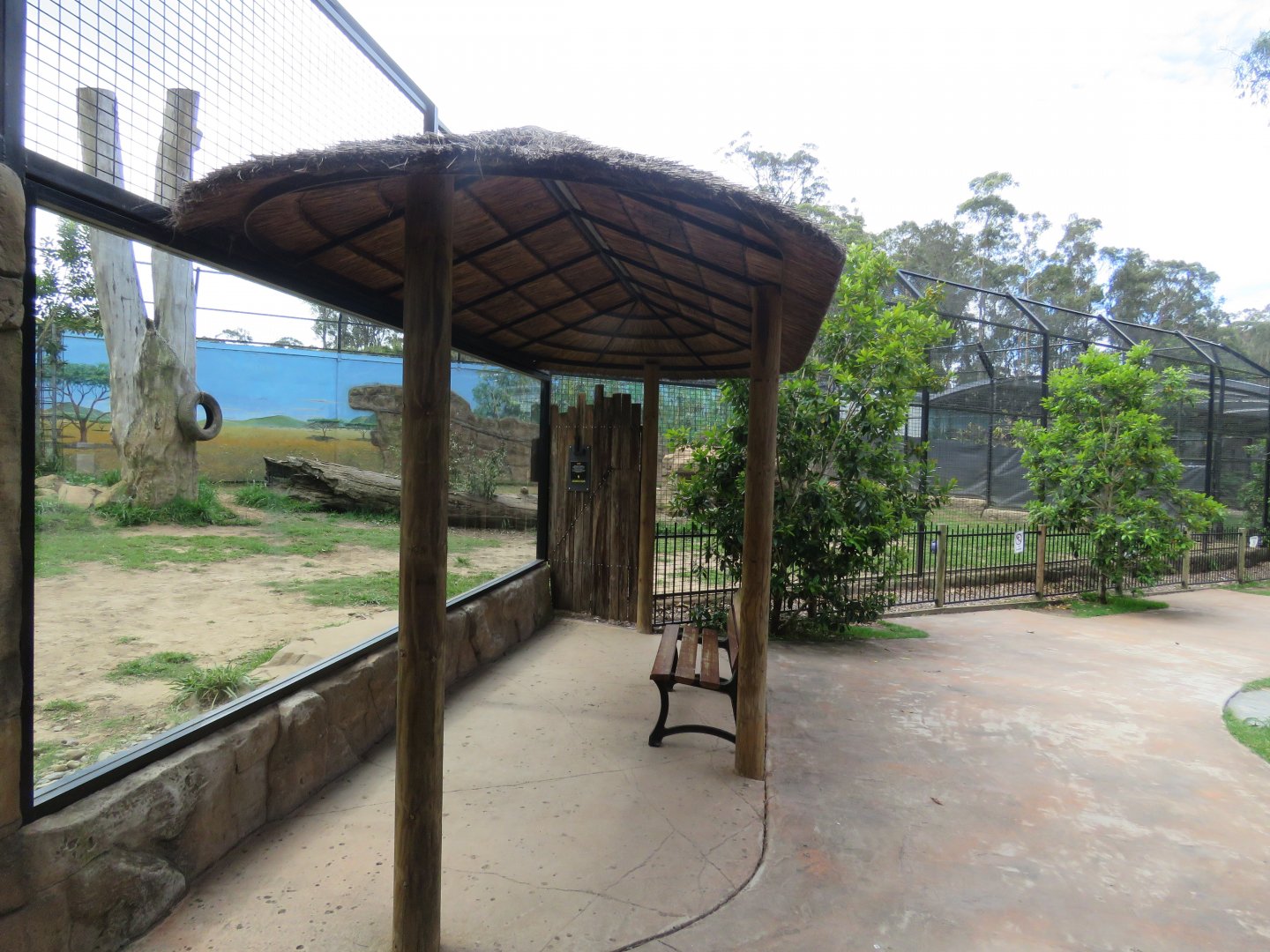 Lion exhibit