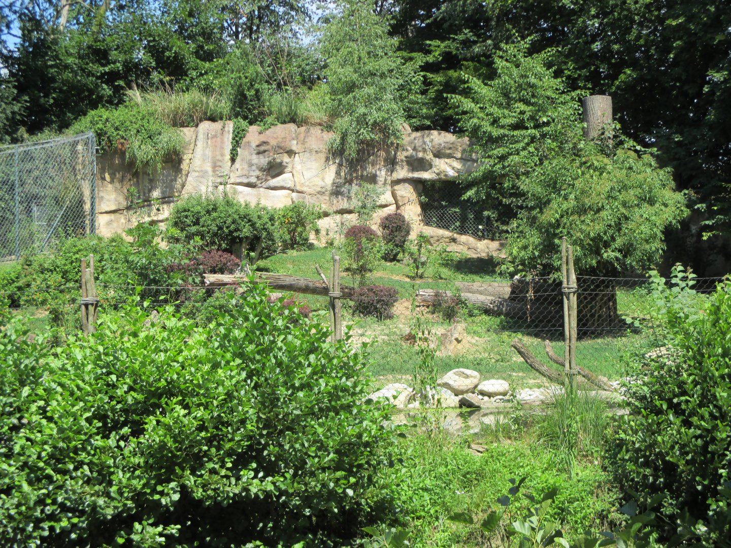 Lion exhibit