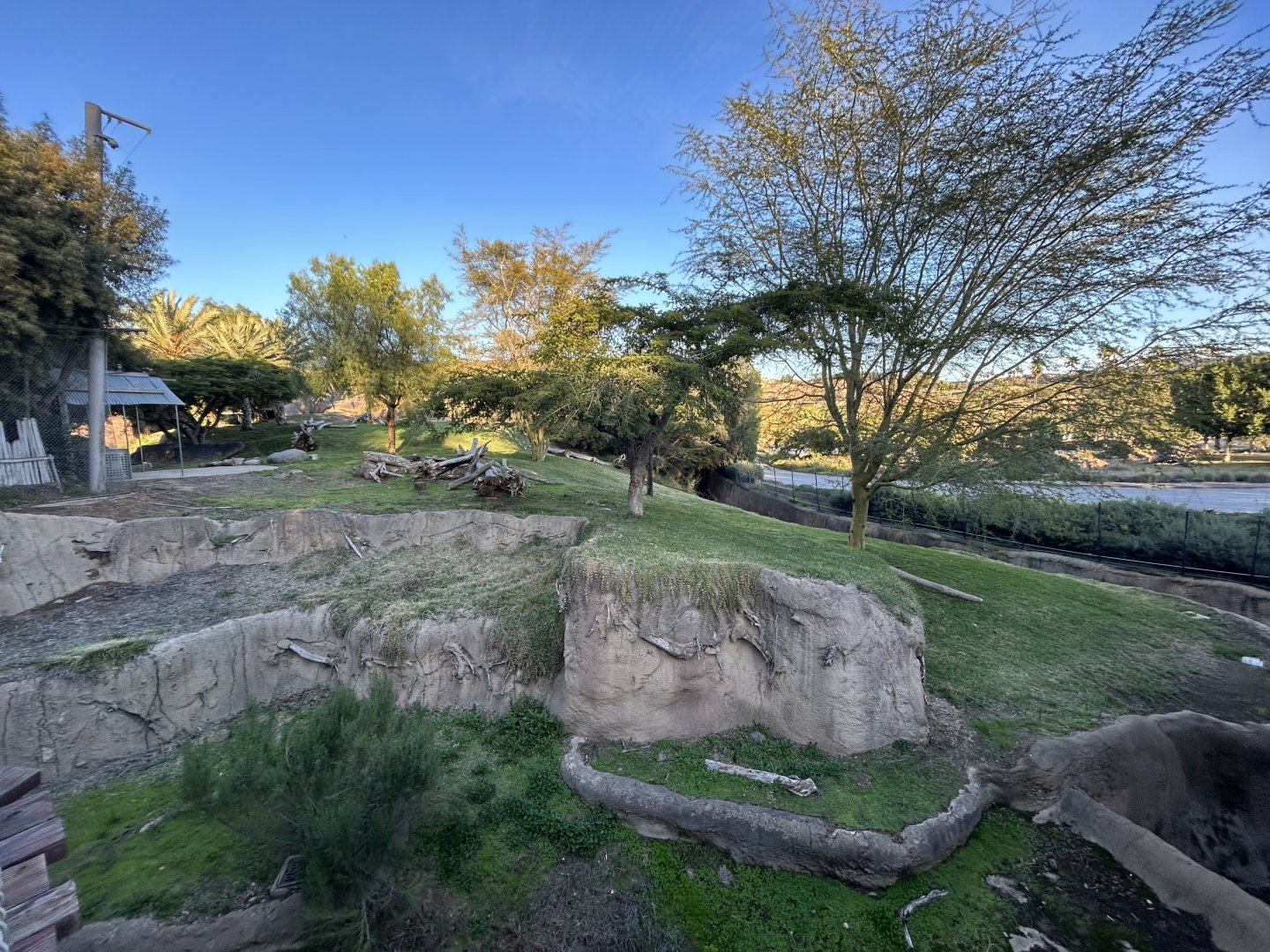 Lion Exhibit