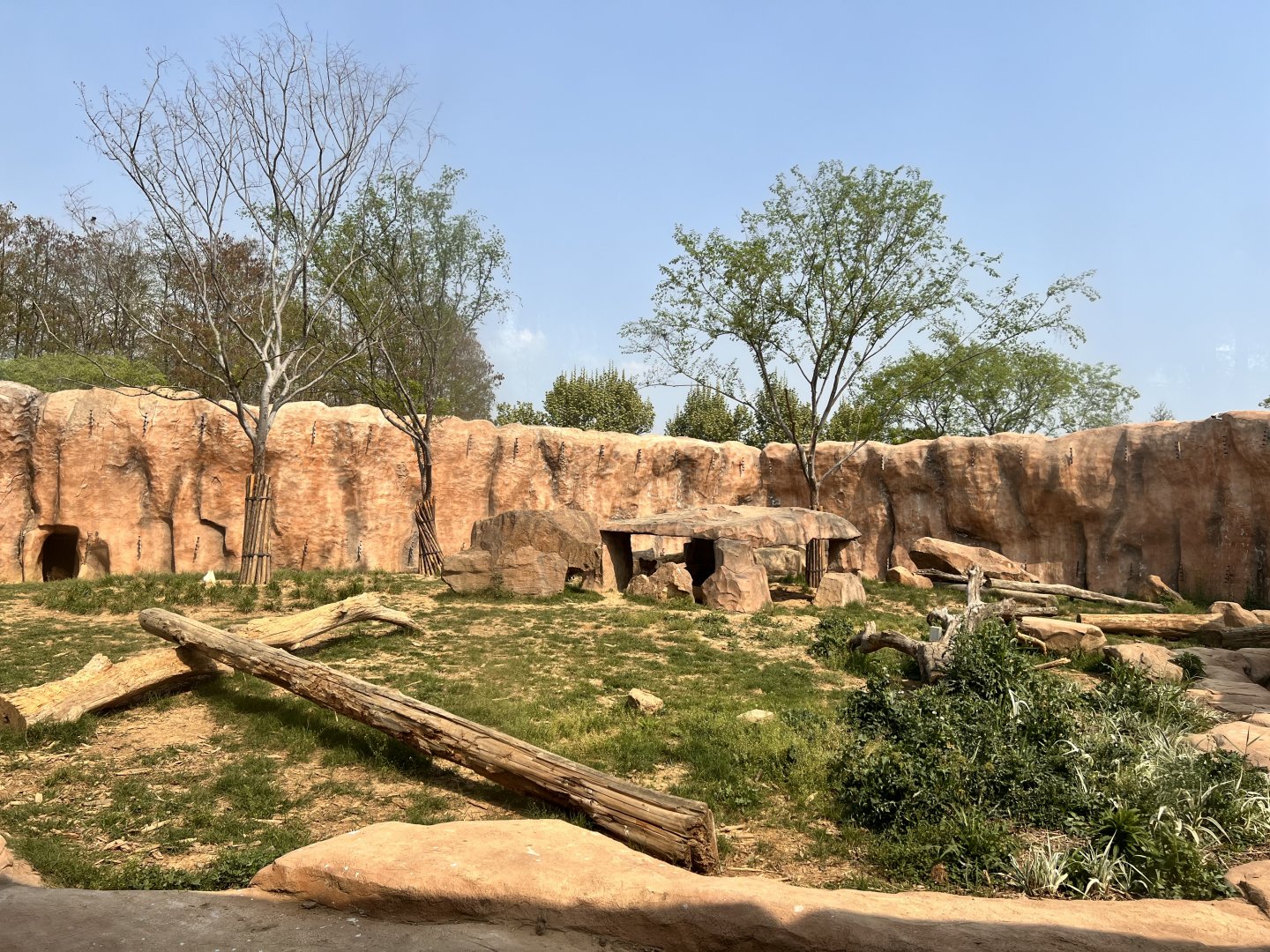 Lion Exhibit