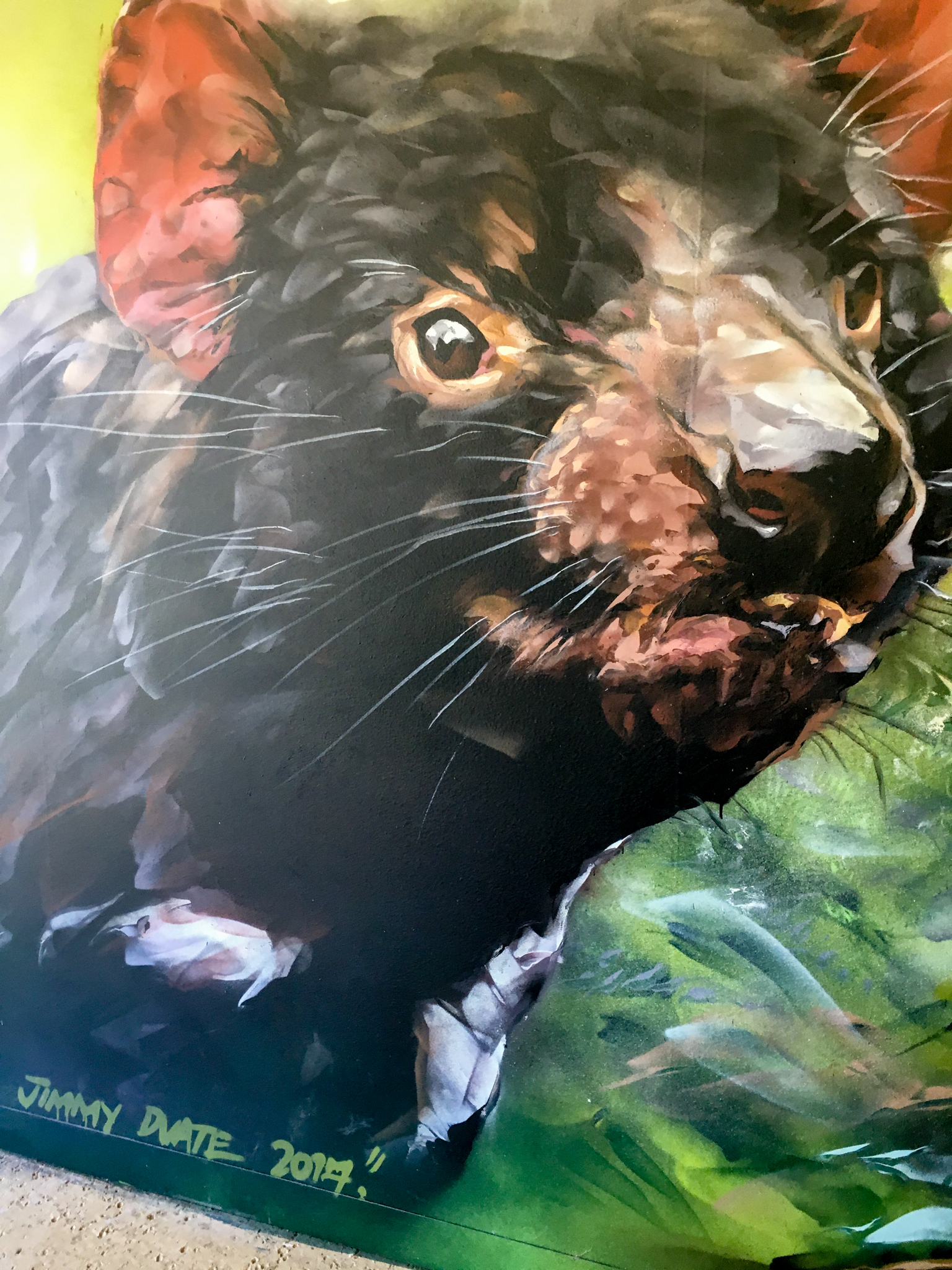 Lion Gorge - Tasmanian Devil Painting - December 2018