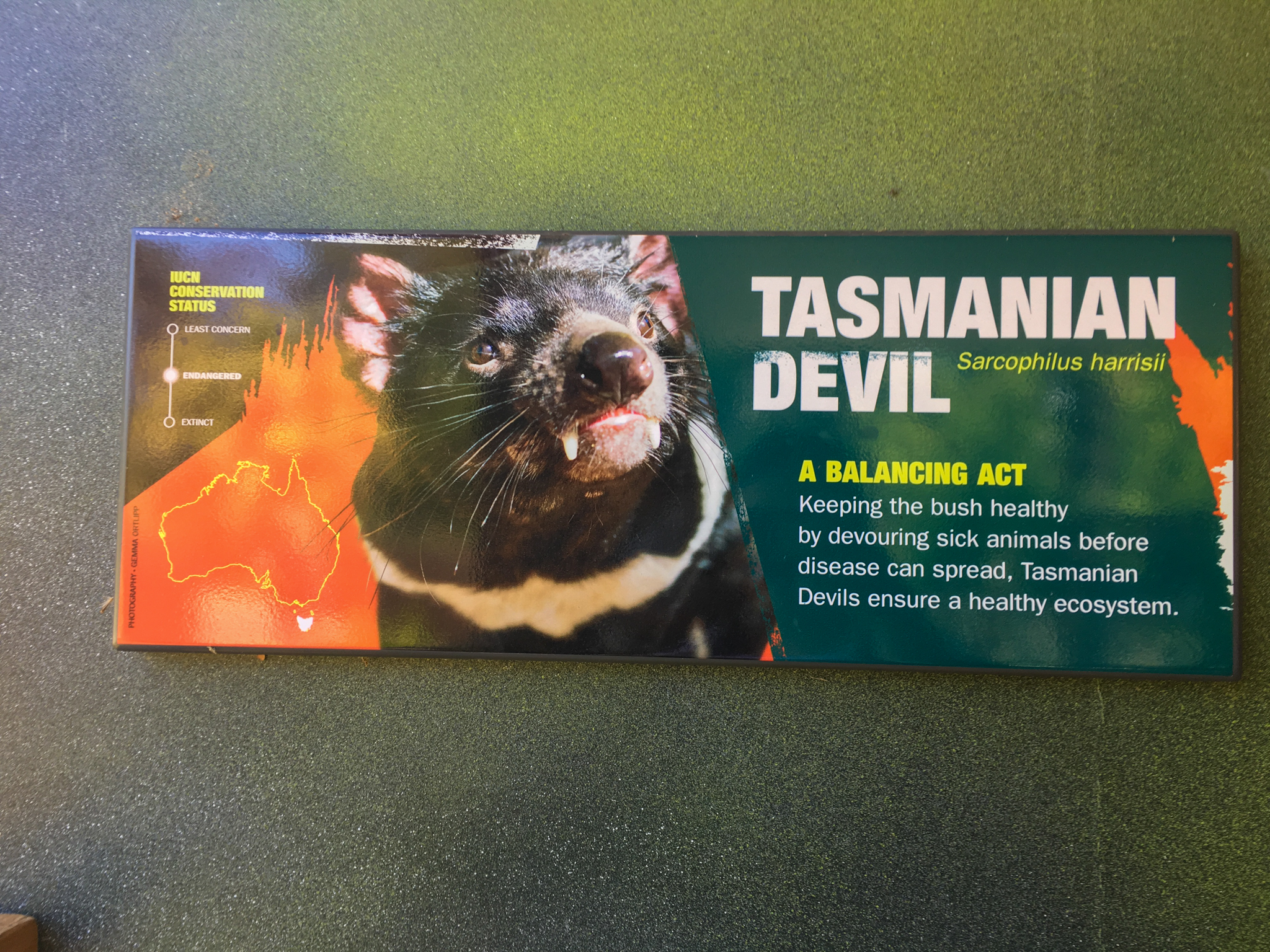 Lion Gorge - Tasmanian Devil Sign - December 2018