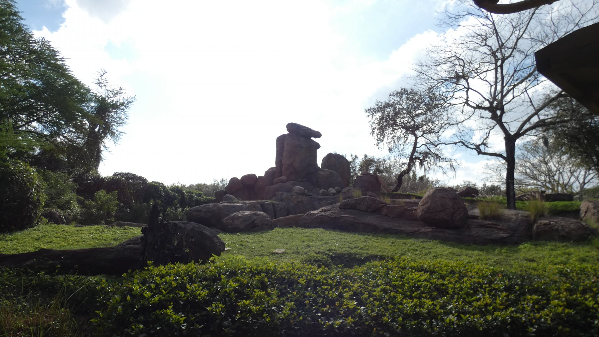 Lion Habitat or "Pride Rock", Kilimanjaro Safaris - Jan. 2022