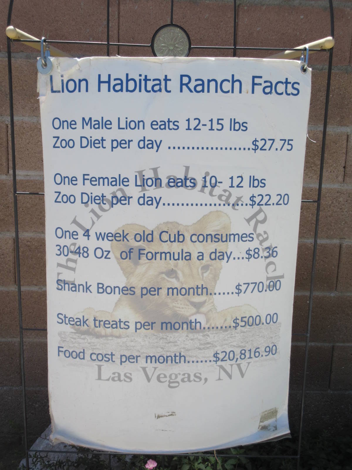 Lion Habitat Ranch (Nevada) - Facts Sign