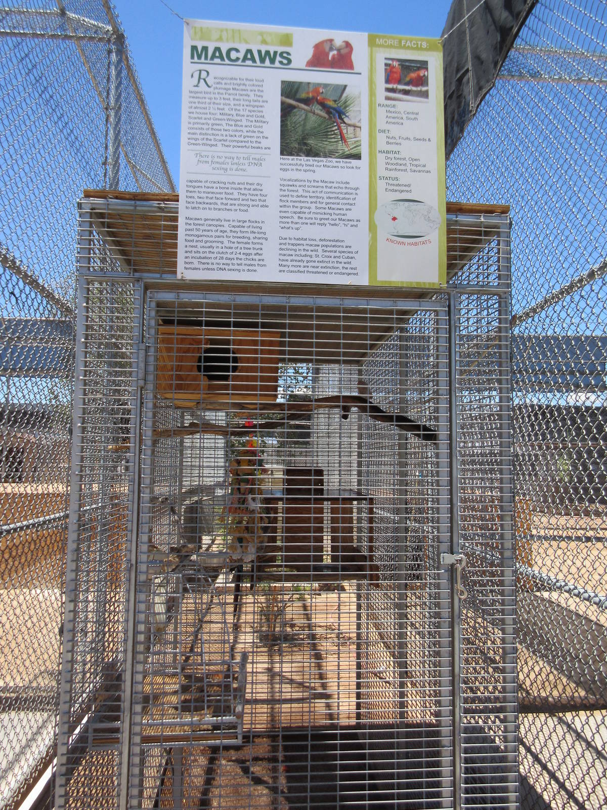 Lion Habitat Ranch (Nevada) - Green-Winged Macaw Exhibit