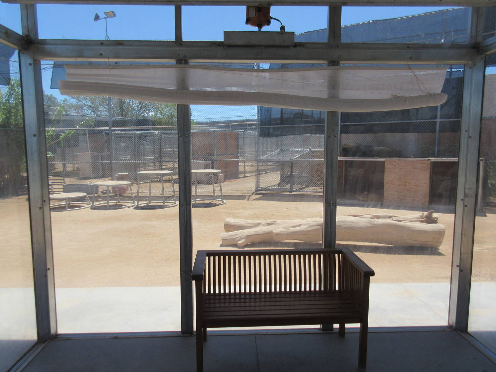 Lion Habitat Ranch (Nevada) - Lion Exhibit