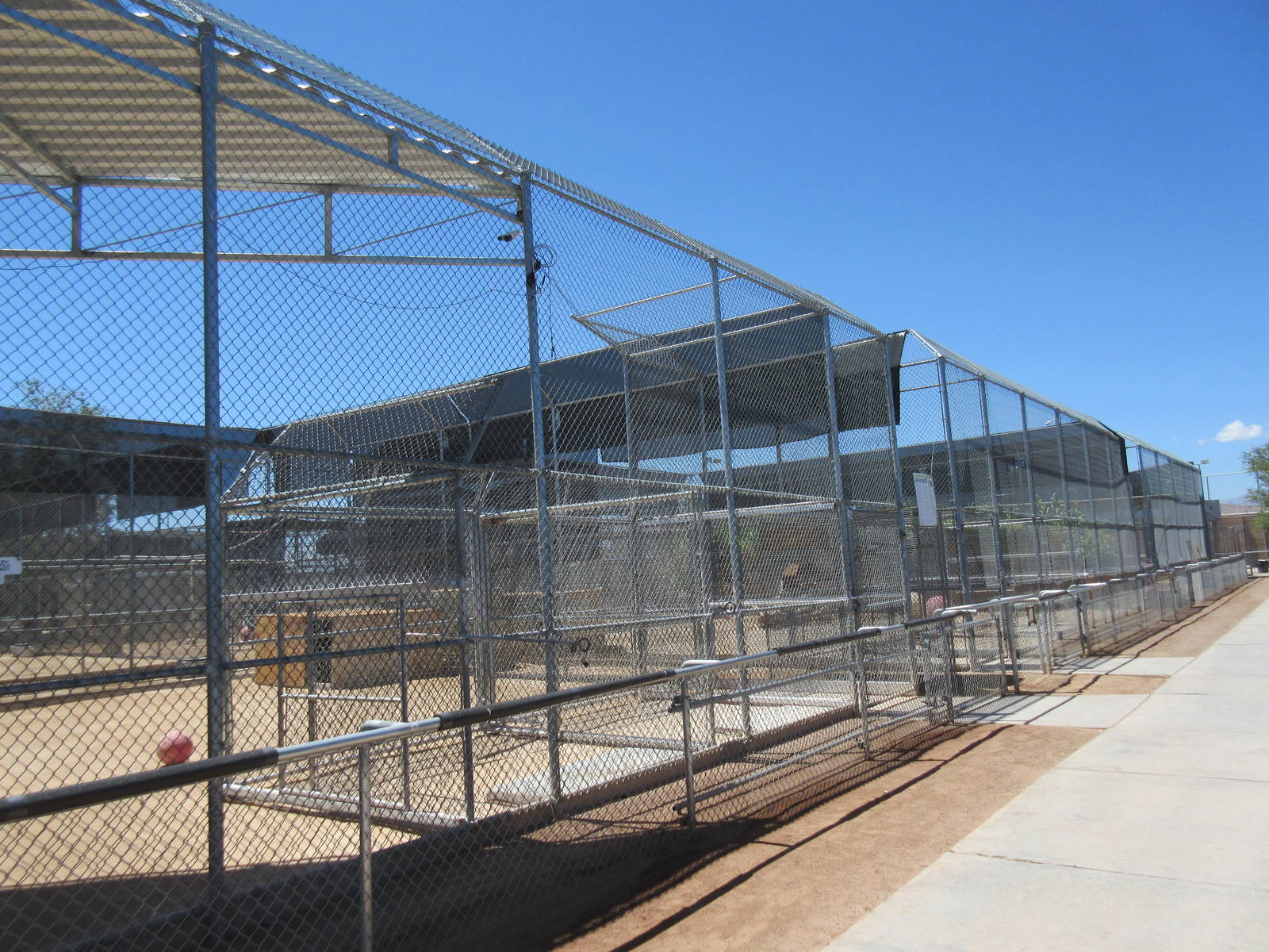 Lion Habitat Ranch (Nevada) - Lion Exhibits