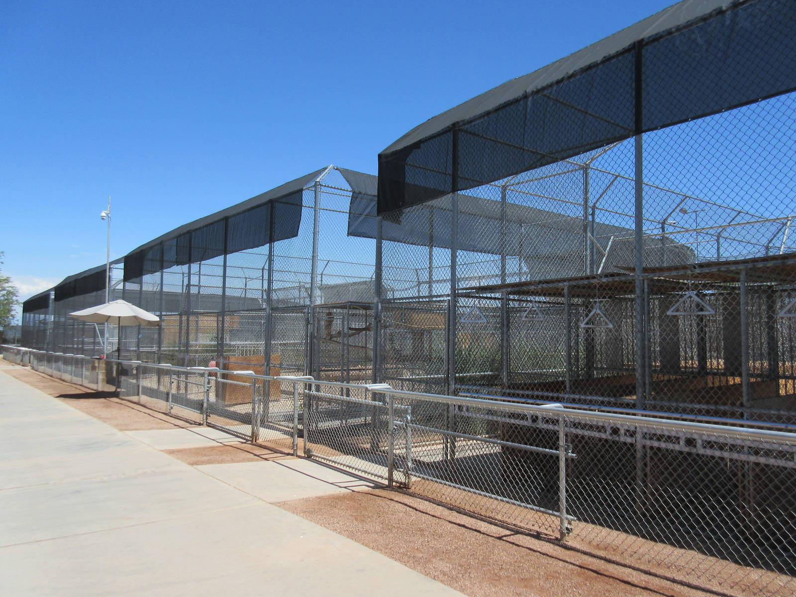 Lion Habitat Ranch (Nevada) - Lion Exhibits