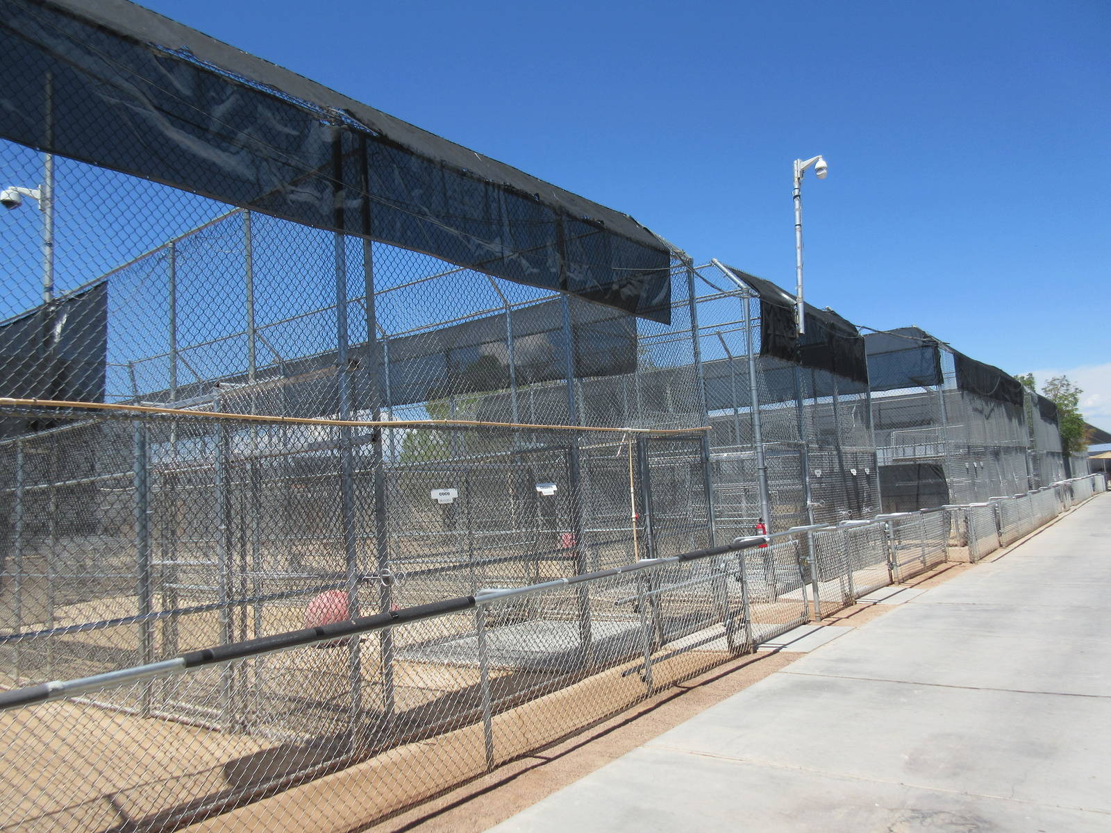 Lion Habitat Ranch (Nevada) - Lion Exhibits