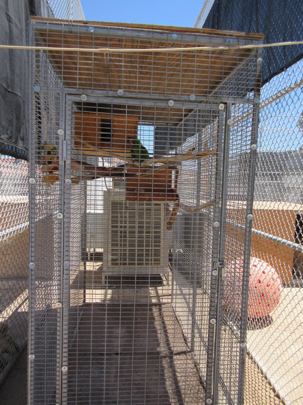 Lion Habitat Ranch (Nevada) - Military Macaw Exhibit