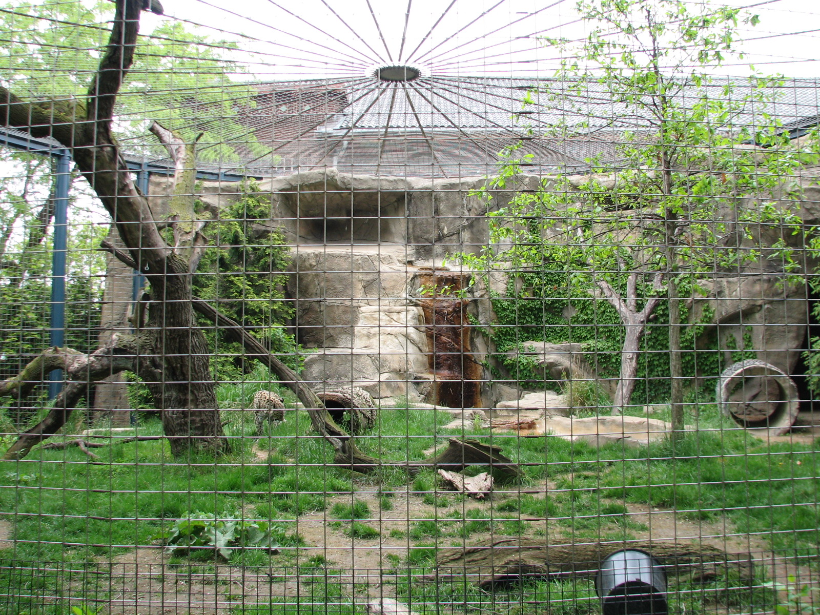 Lion House - Afghan Leopard Exhibit