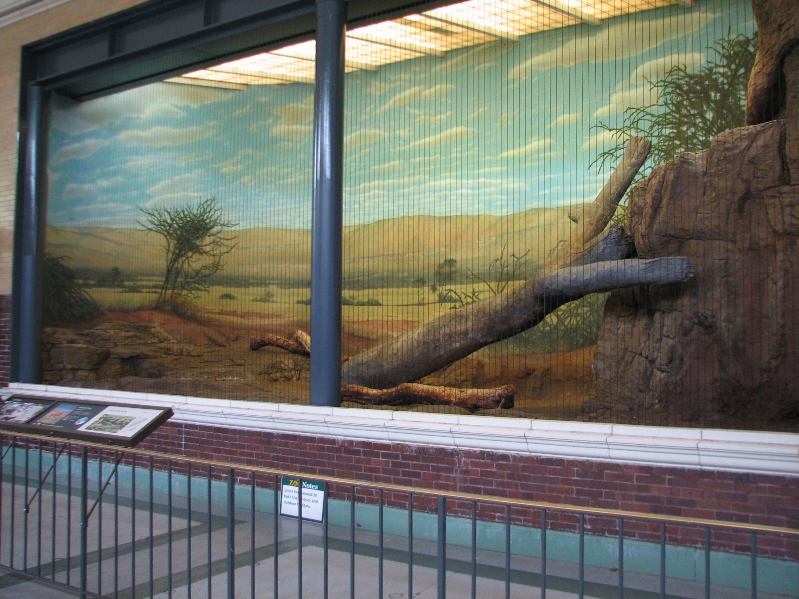 Lion House - African Lion Bedroom