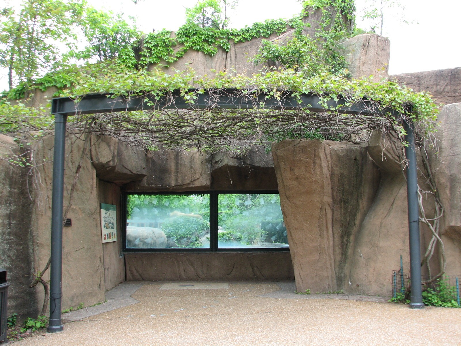 Lion House - African Lion Outdoor Viewing Area