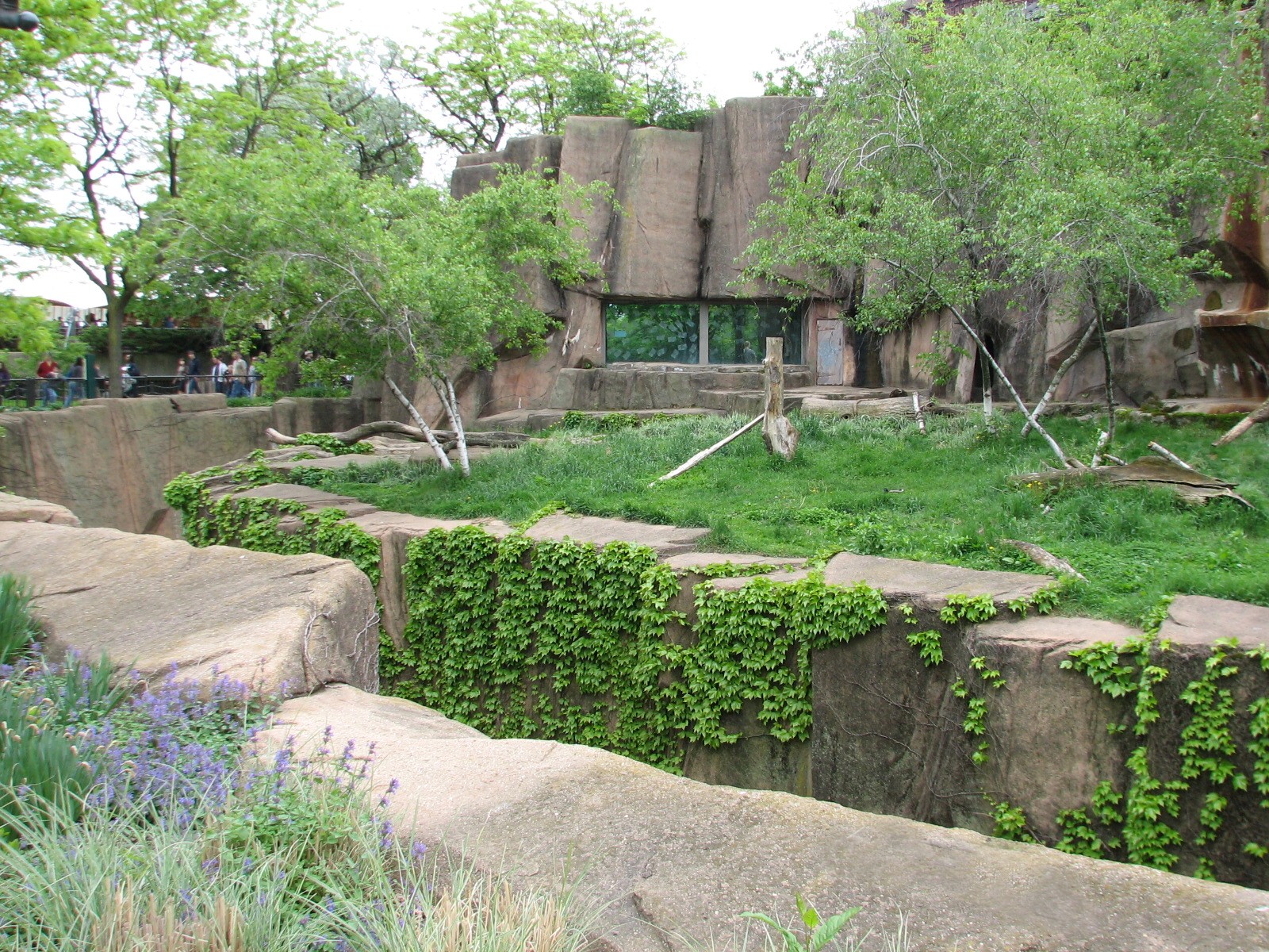 Lion House - Amur Tiger Exhibit
