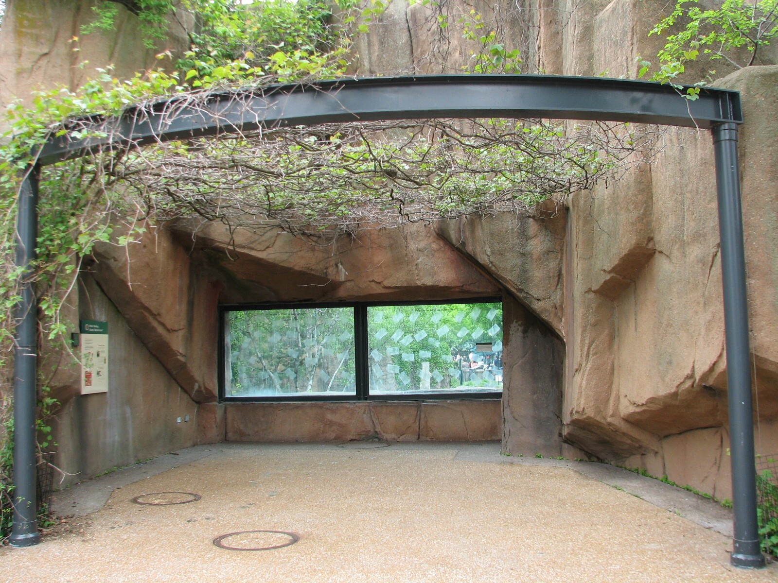 Lion House - Amur Tiger Outdoor Viewing Area