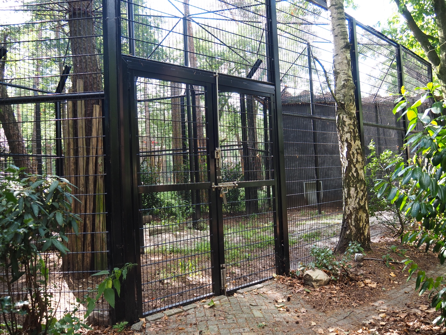 Lion house and separation cage