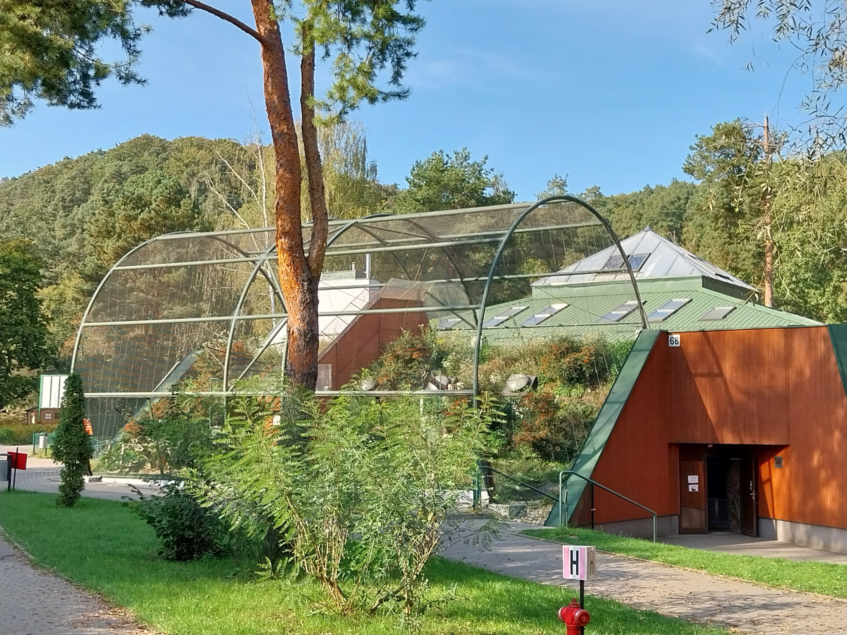 Lion House - Arabian Sand Cat enclosures