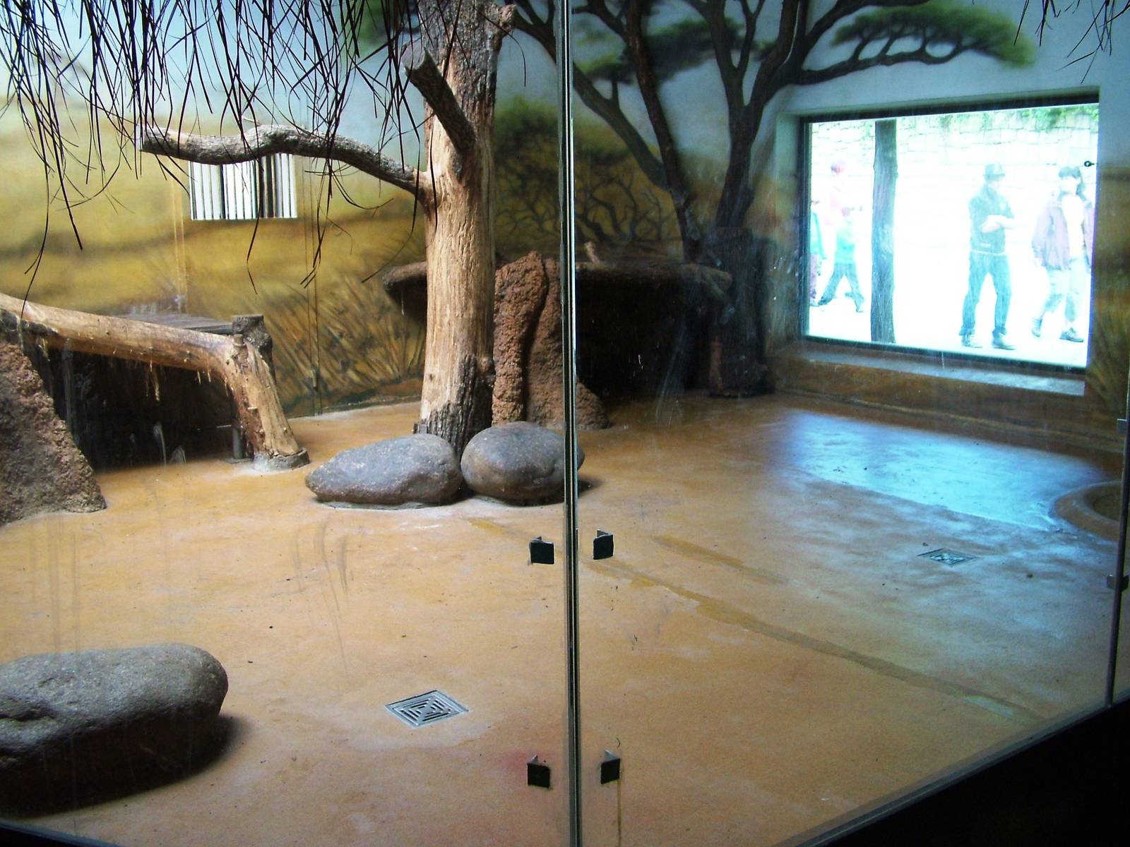 Lion House at Dvur Kralove, 27/08/12