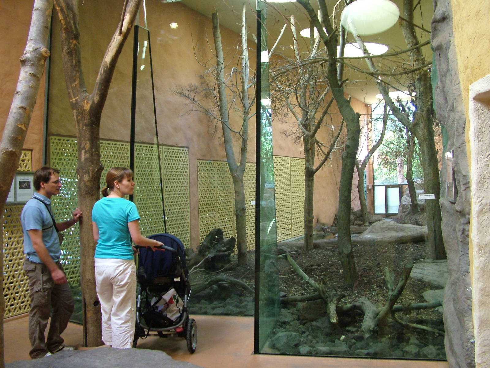 Lion House at Zurich 31/08/09