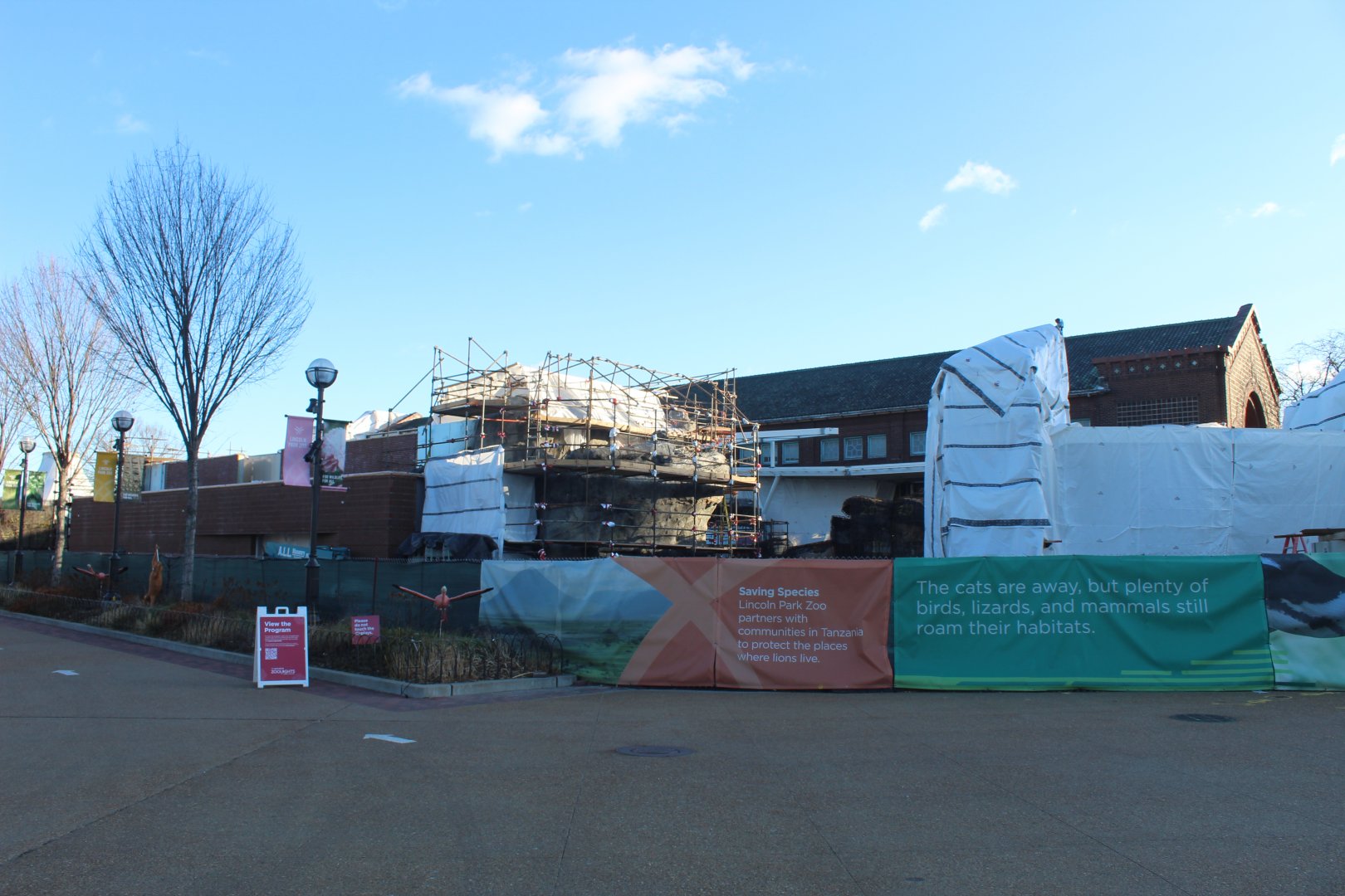 Lion House Construction