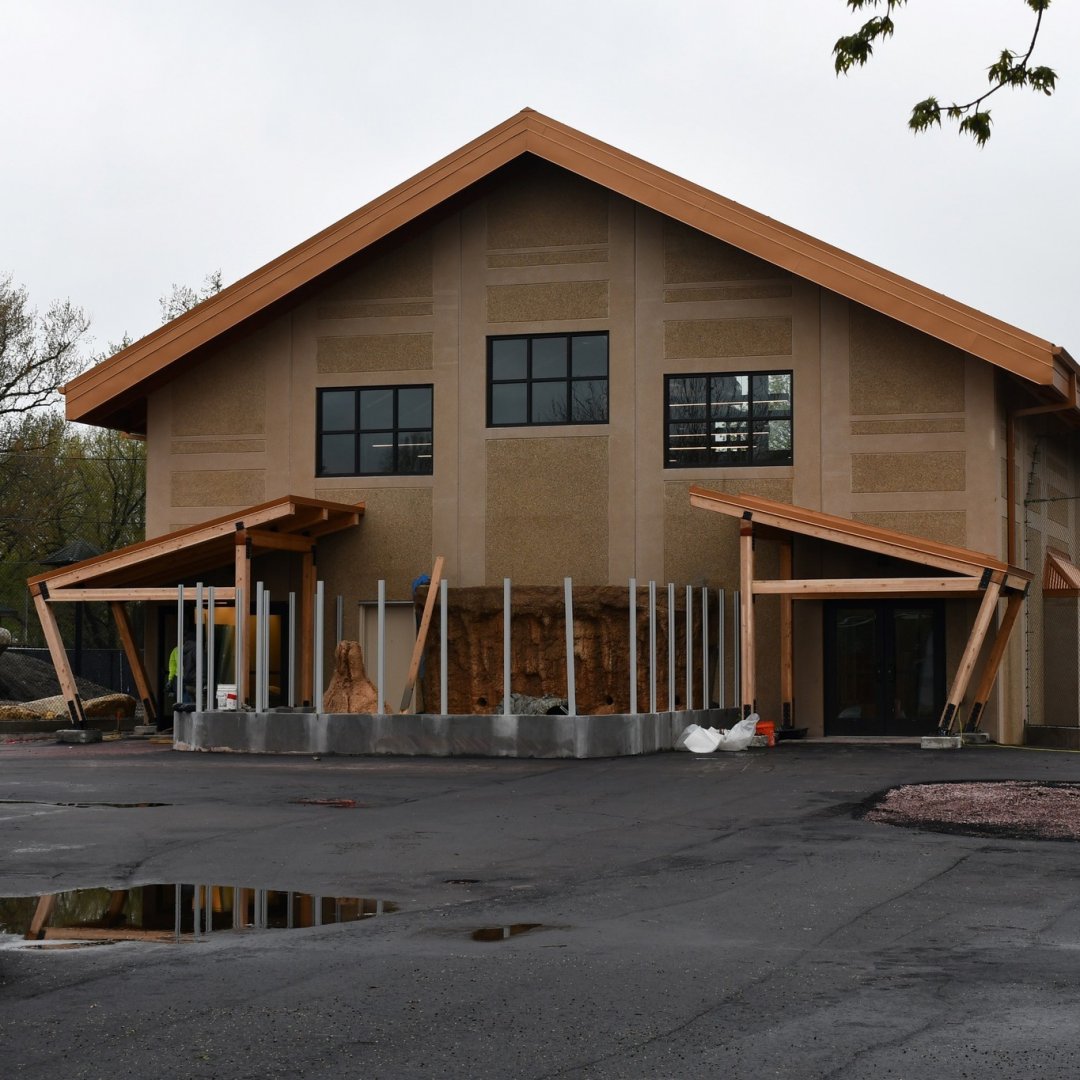 Lion House Construction