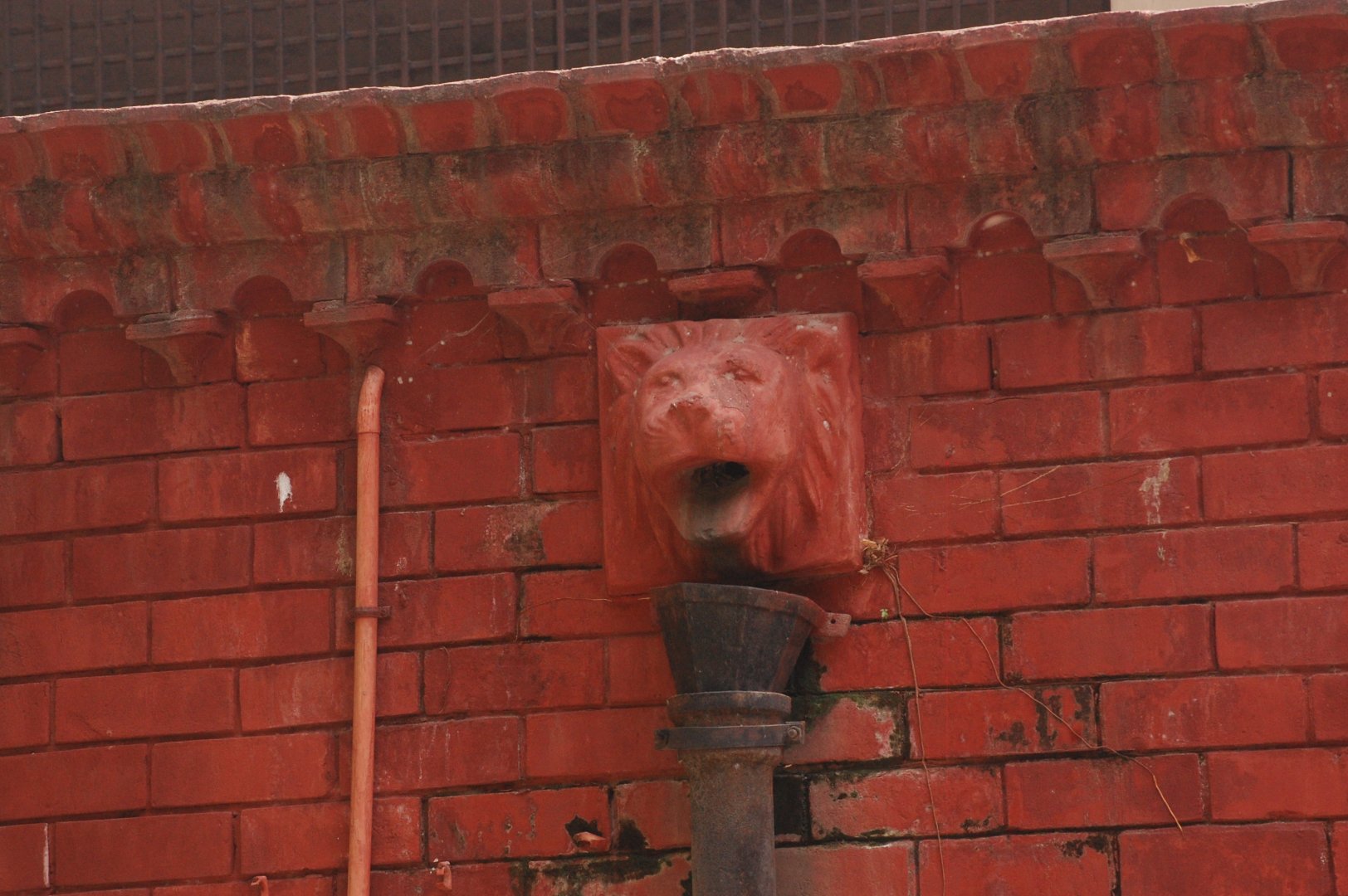 Lion house details - Lahore zoo 8/9/2021