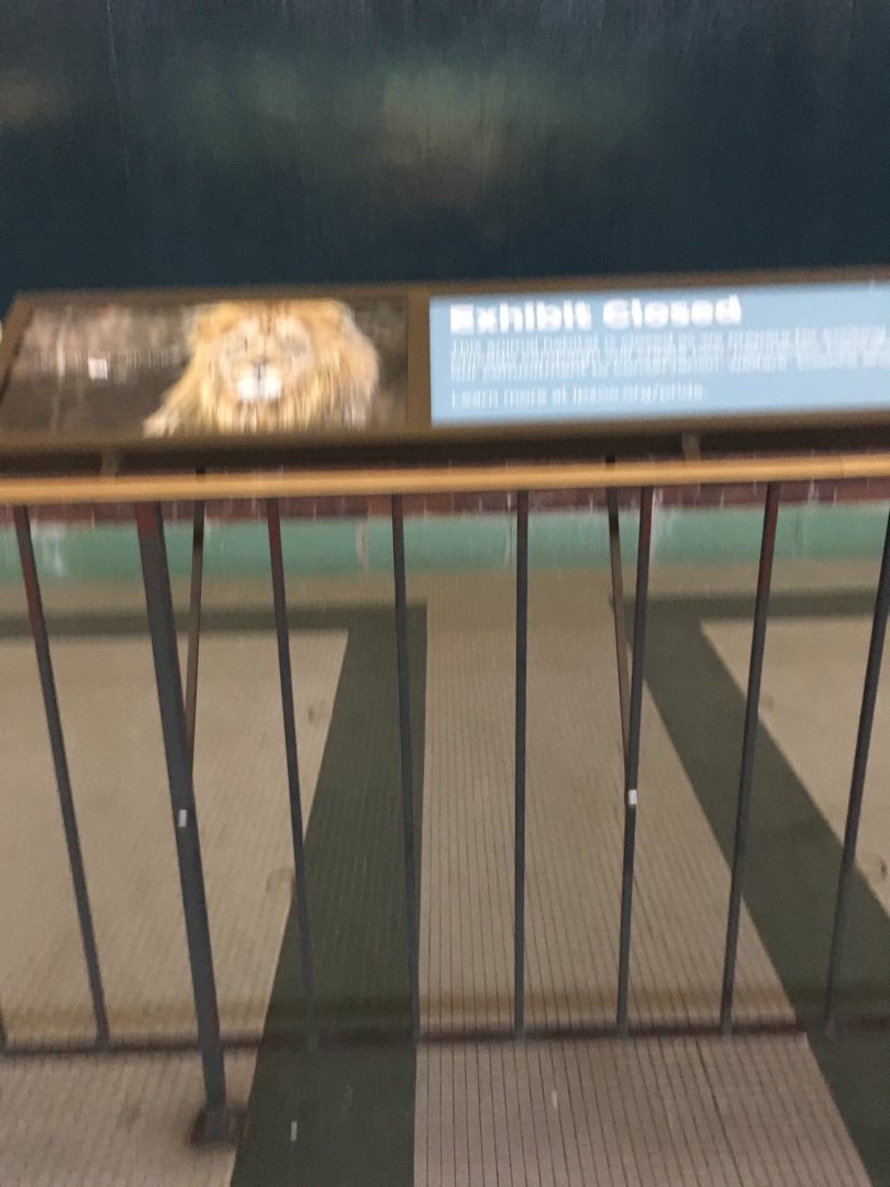 Lion House Expansion Info