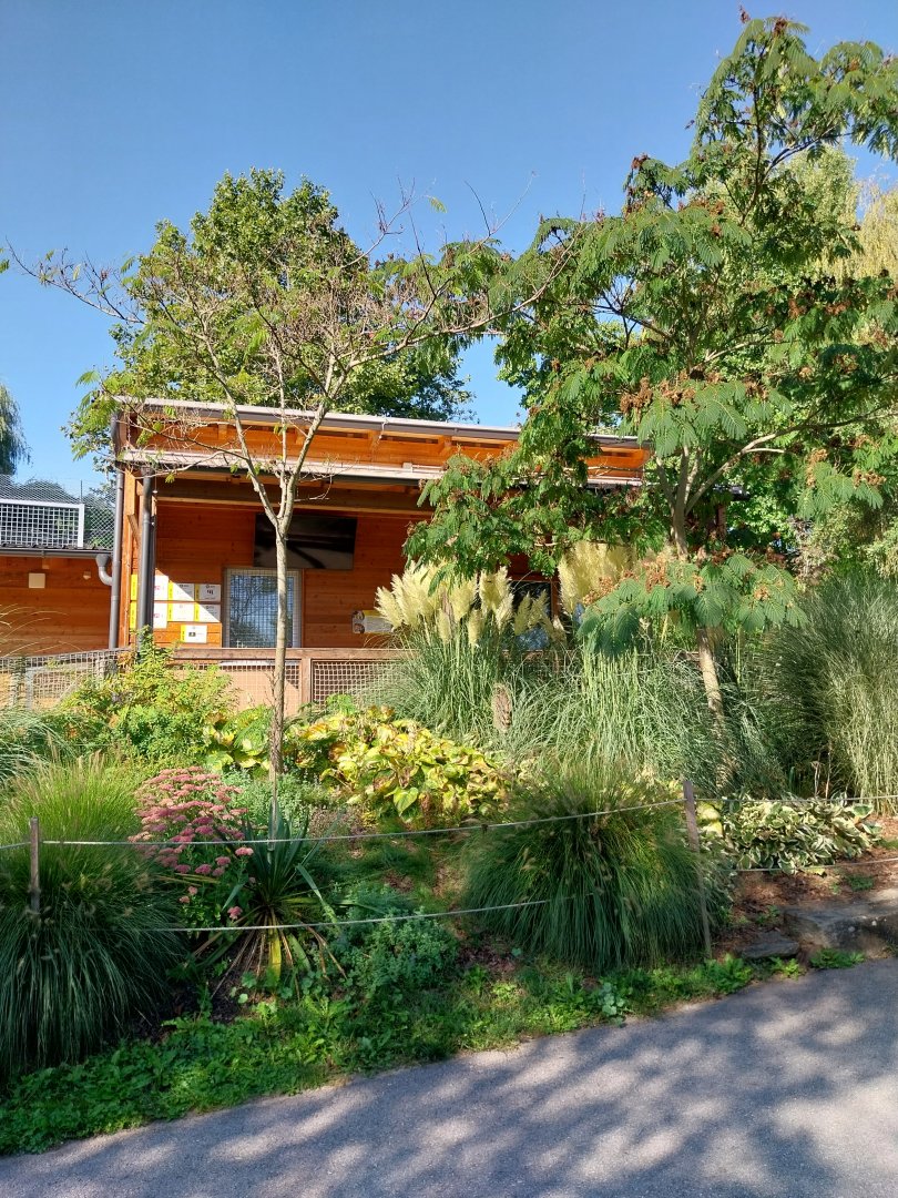 Lion House for second enclosure