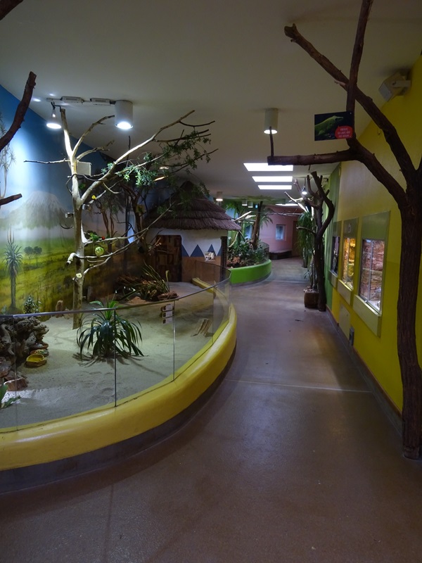 Lion House: General view