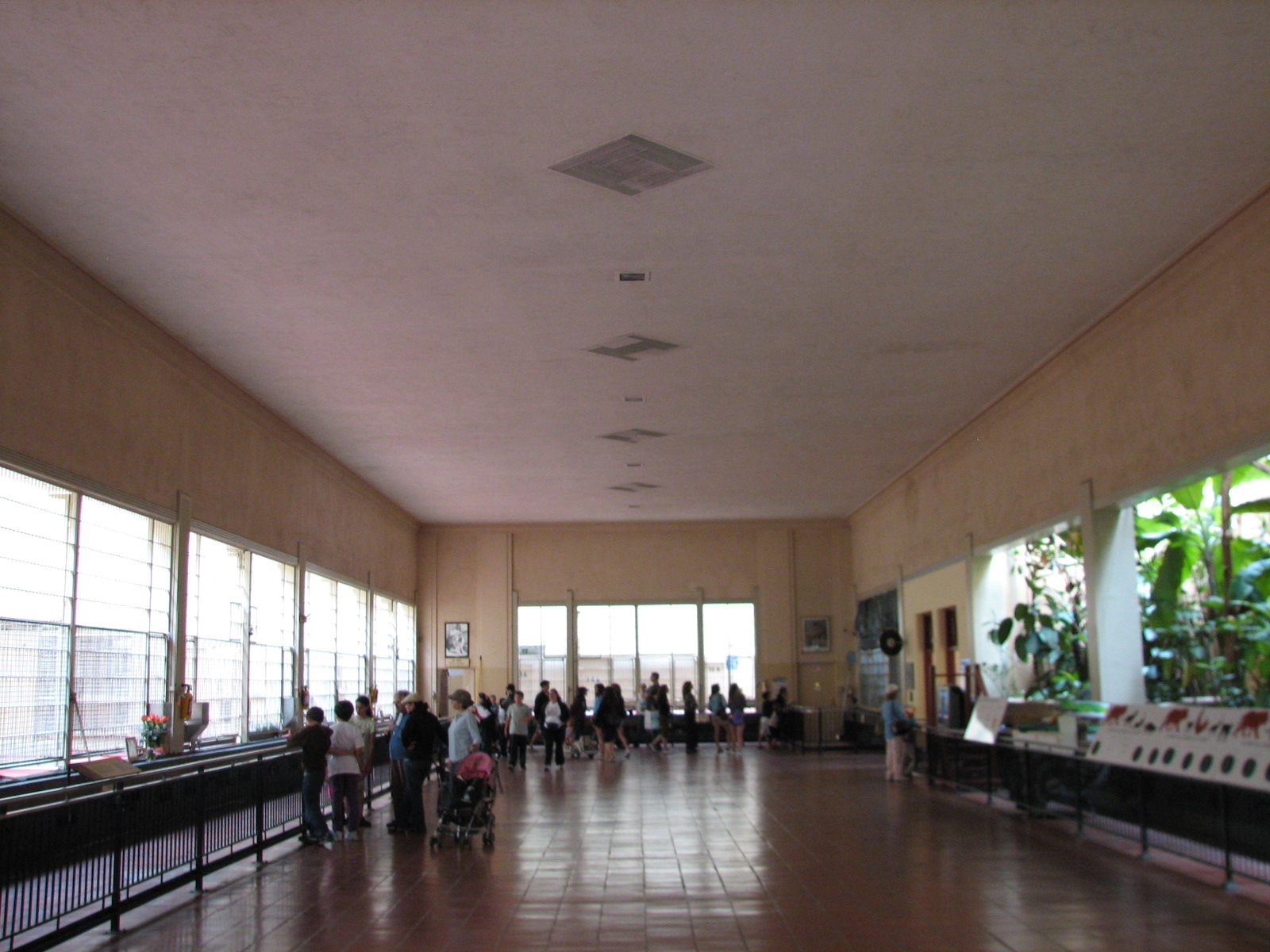 Lion House - Interior