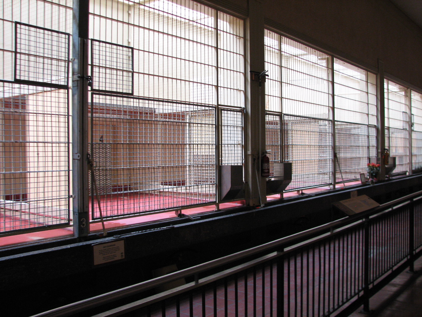 Lion House - Interior