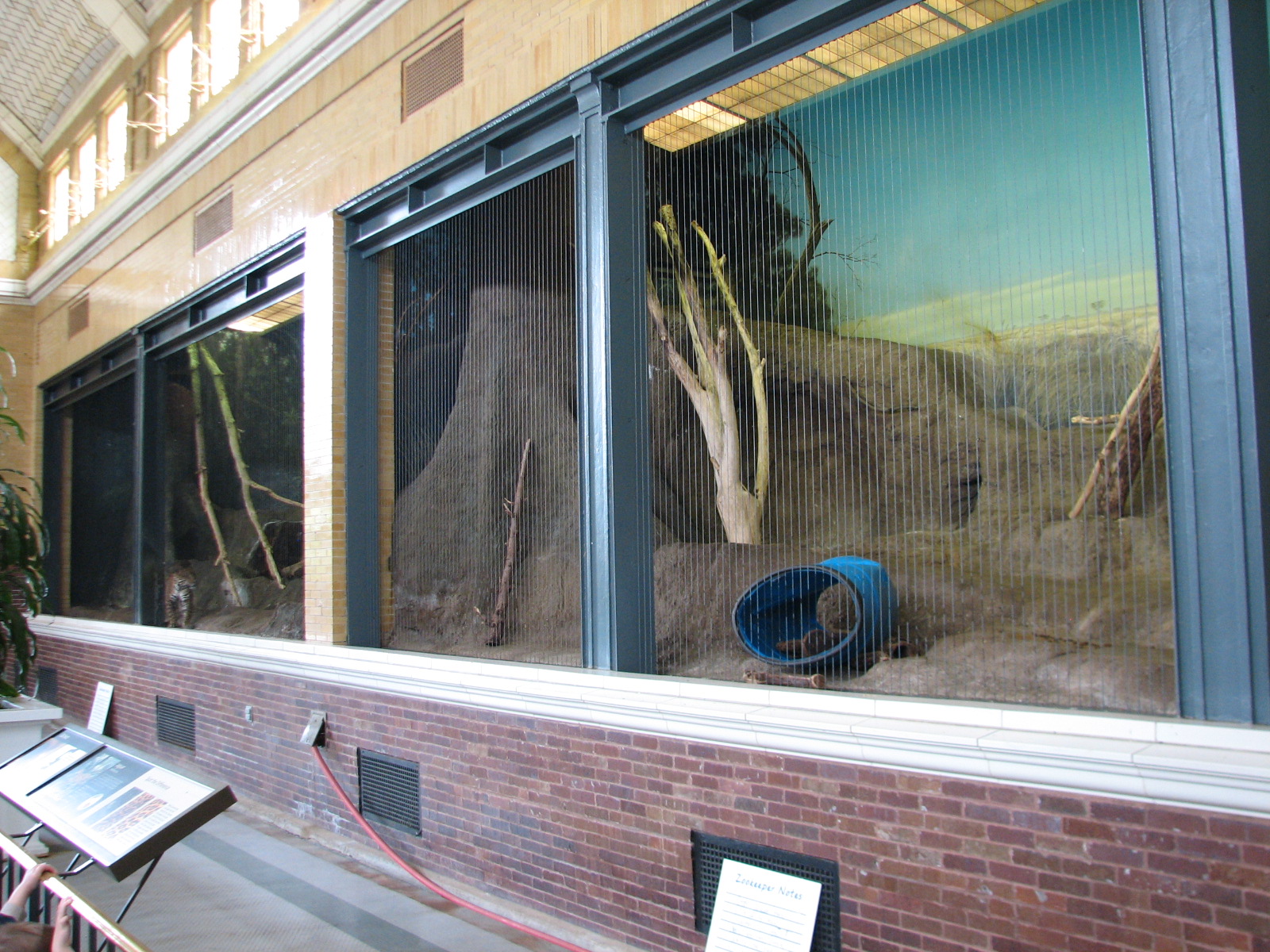 Lion House - Jaguar Exhibit