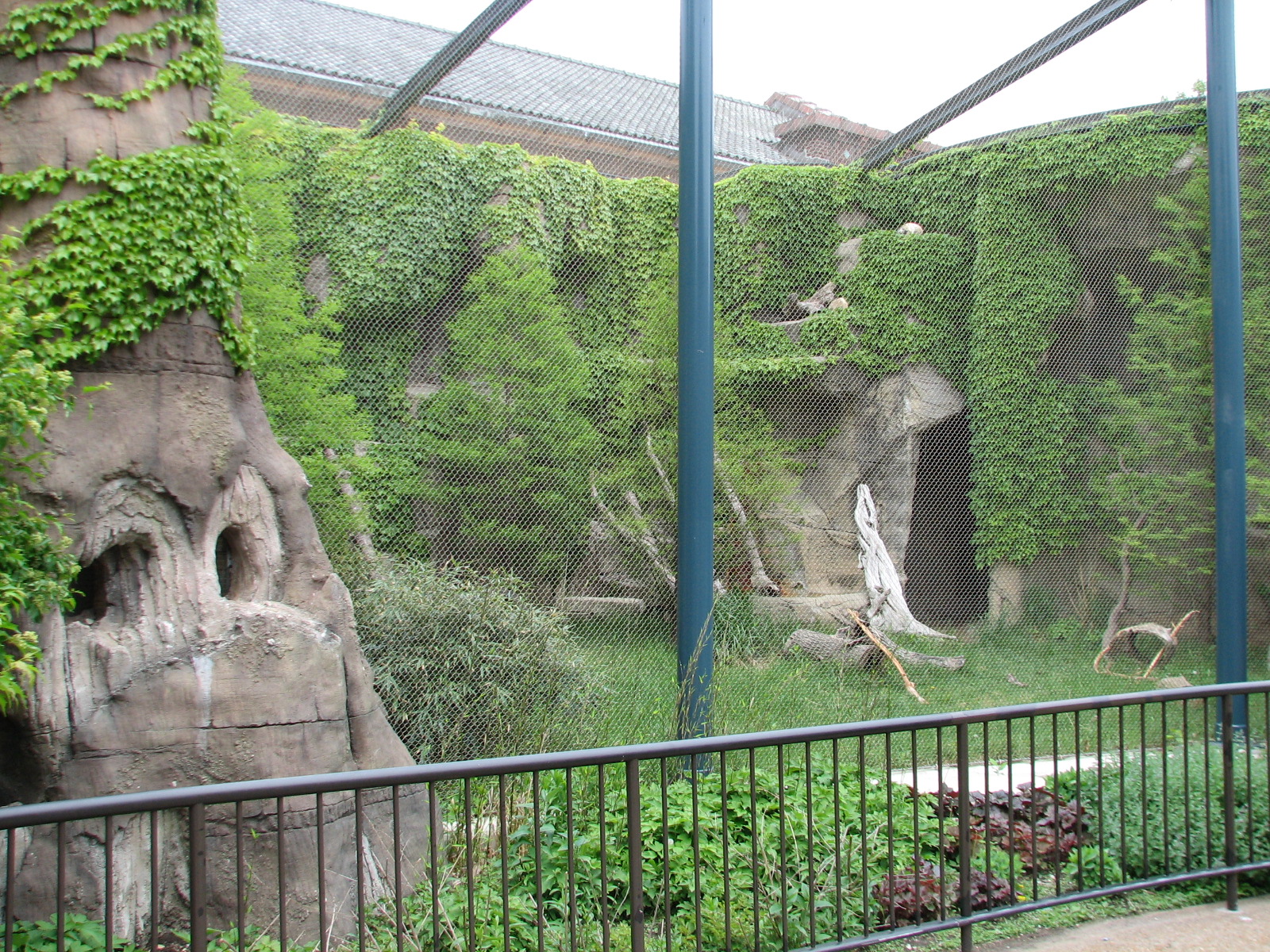 Lion House - Pallas Cat Exhibit