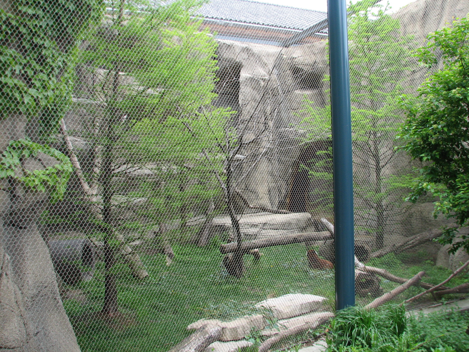 Lion House - Red Panda Exhibit