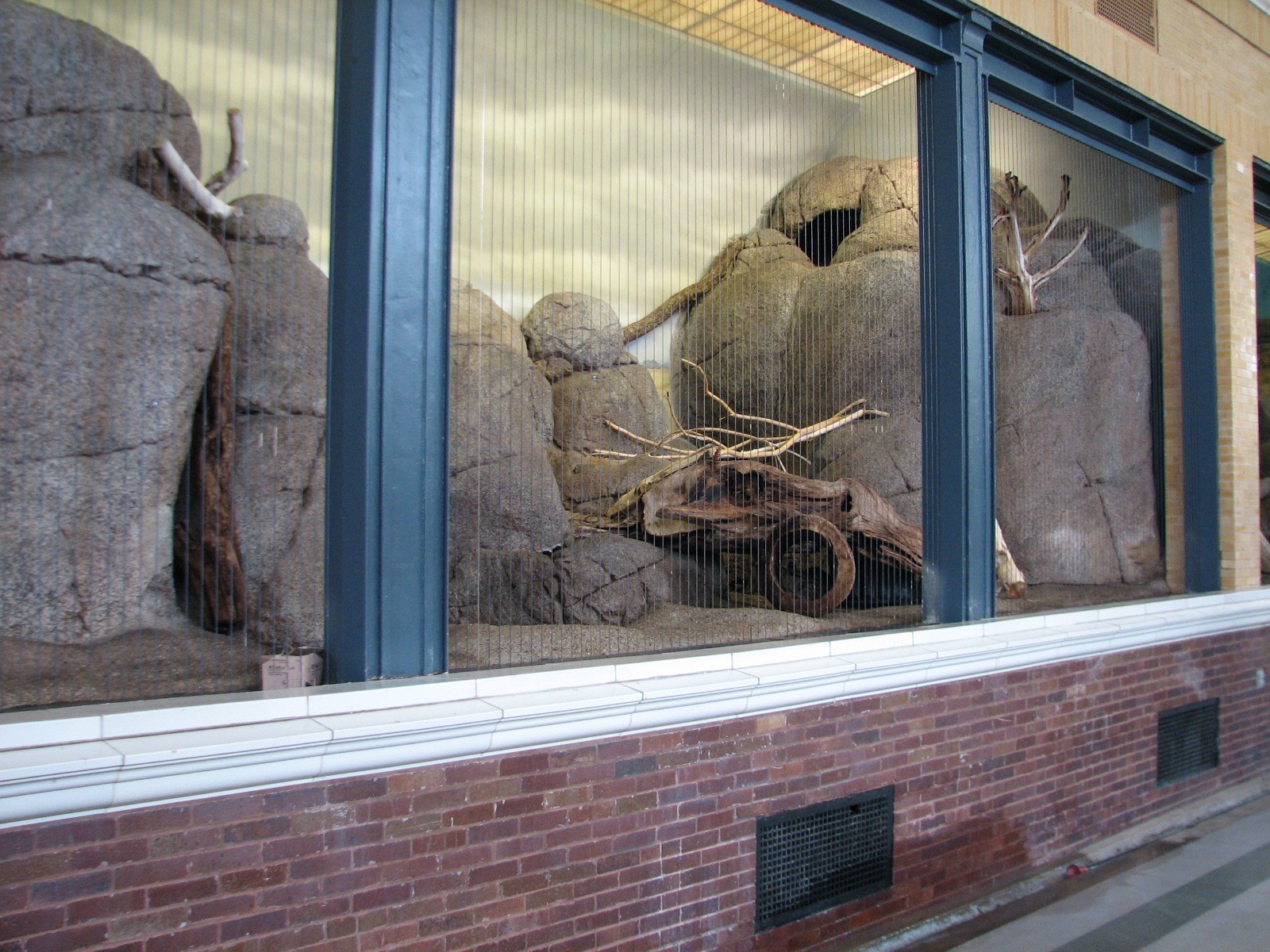 Lion House - Serval Exhibit