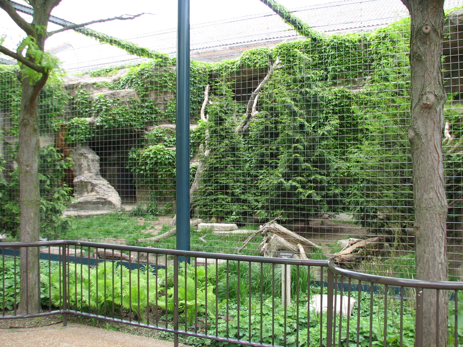 Lion House - Snow Leopard Exhibit