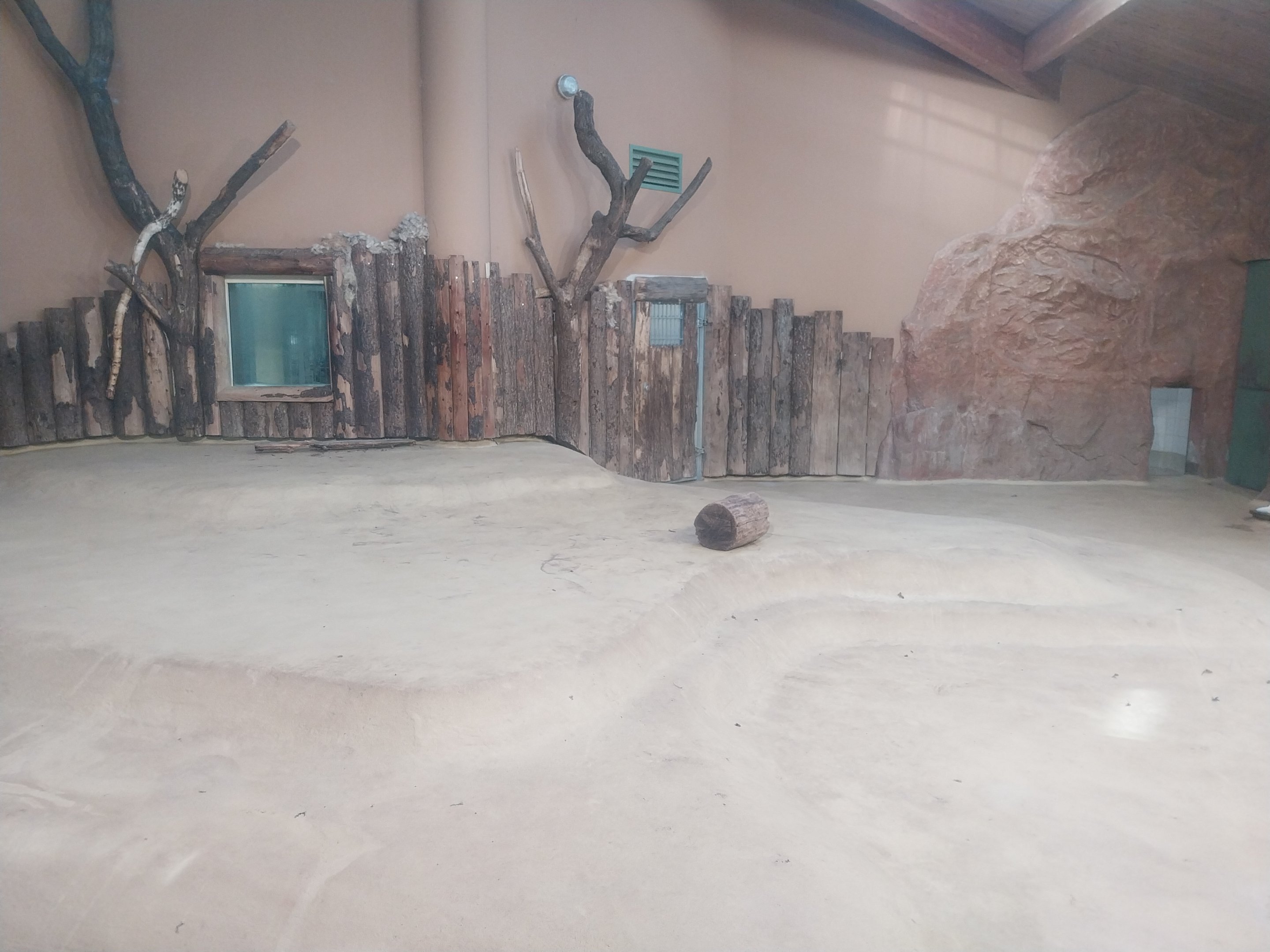 Lion House - Southeast African Lion (Panthera leo krugeri)