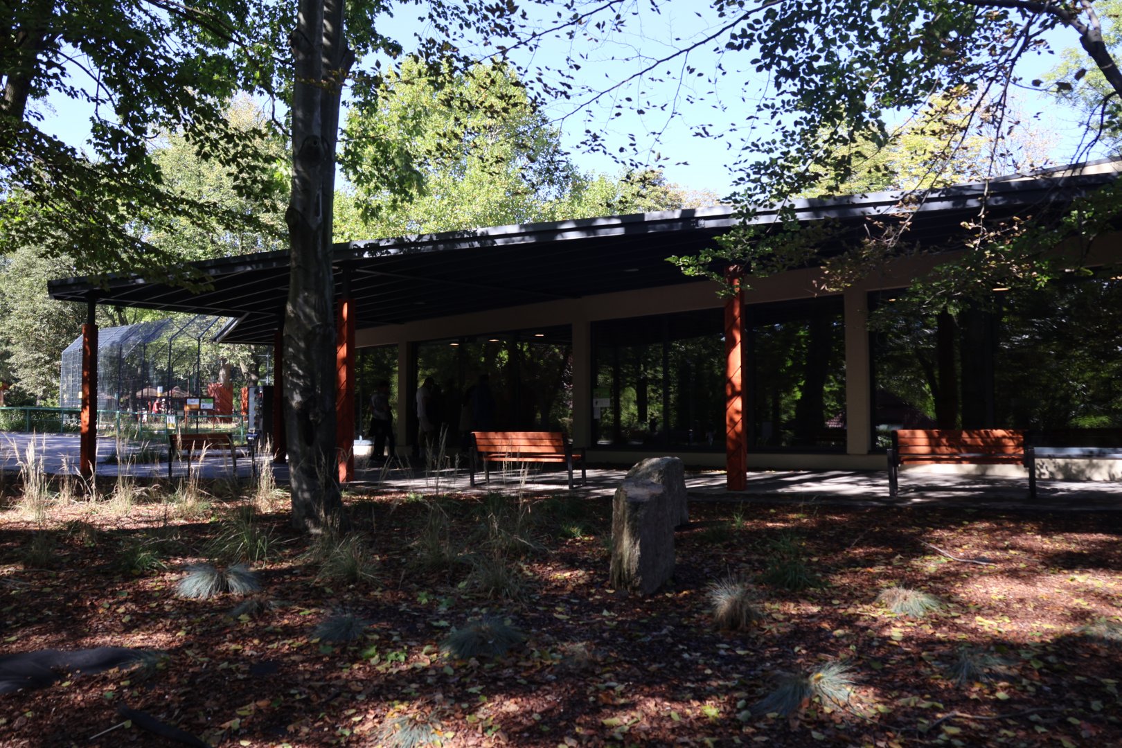 Lion House - Southwest African Lion (Panthera leo bleyenberghi)