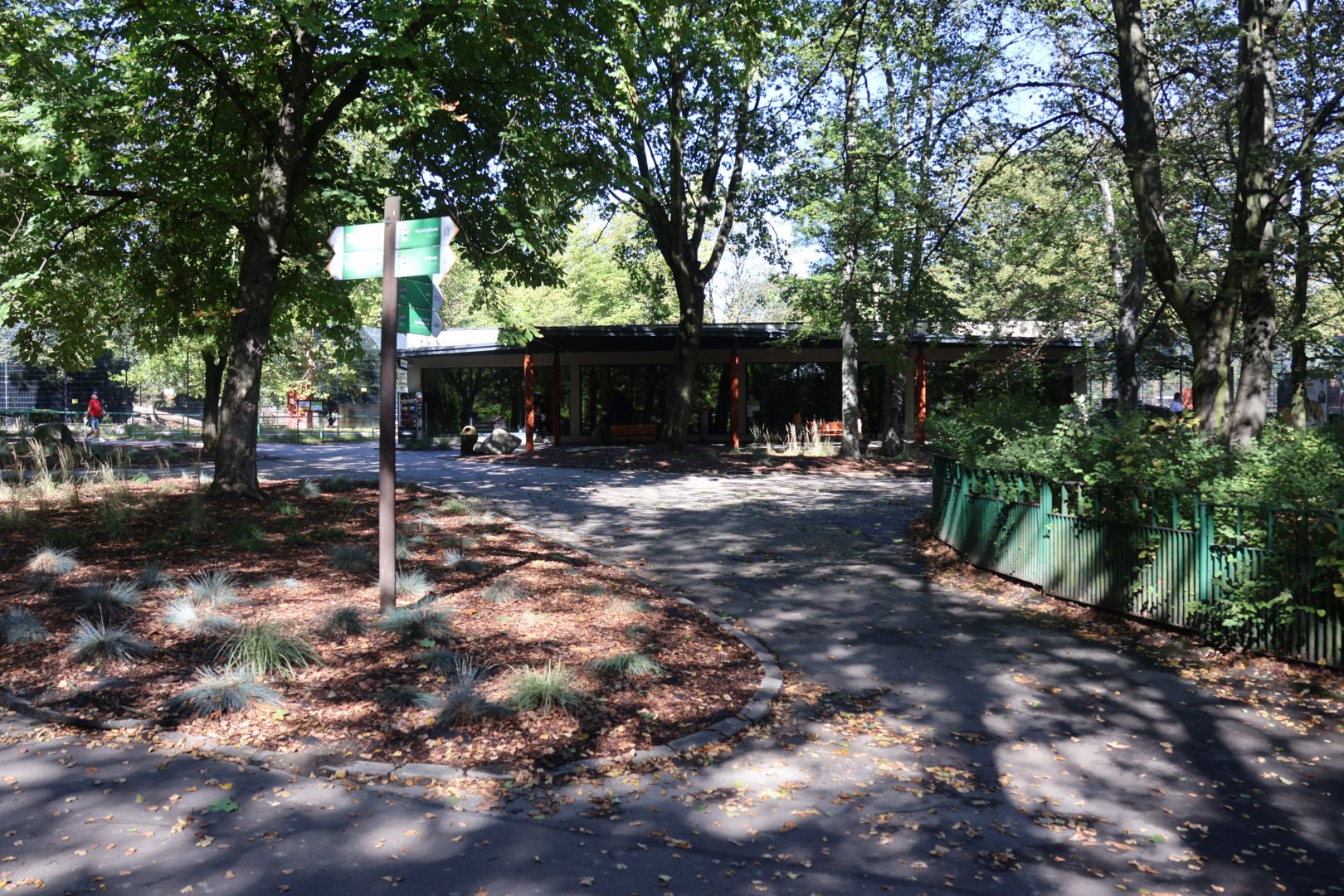 Lion House - Southwest African Lion (Panthera leo bleyenberghi)