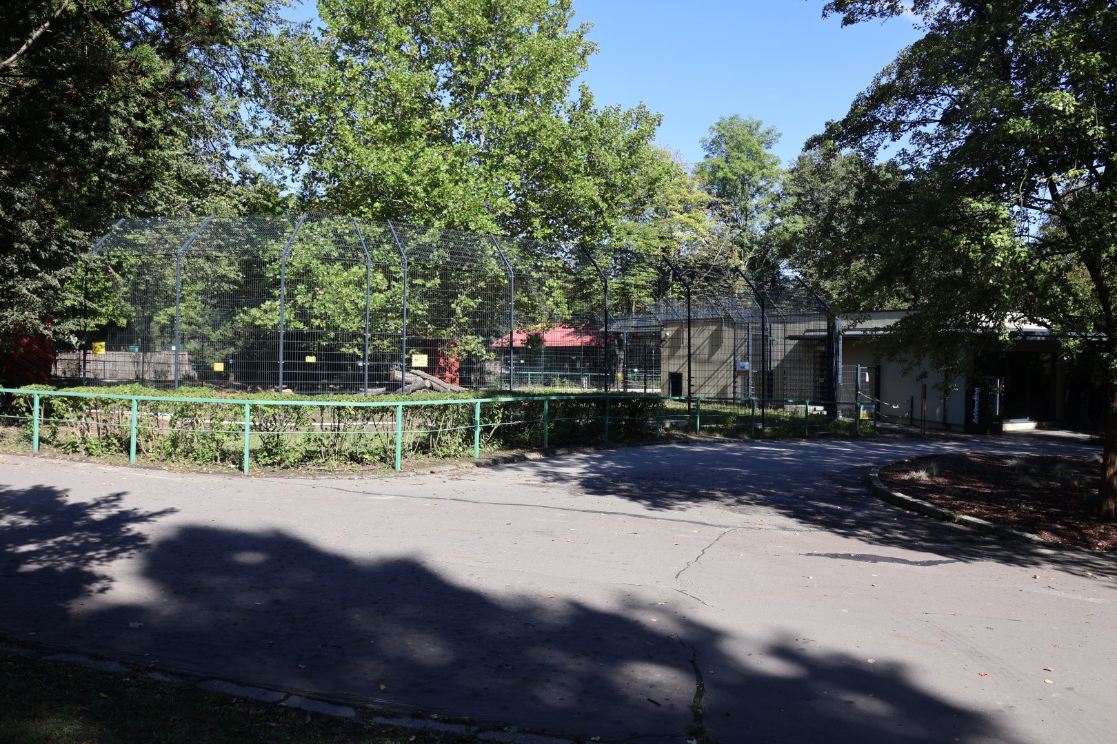 Lion House - Southwest African Lion (Panthera leo bleyenberghi)