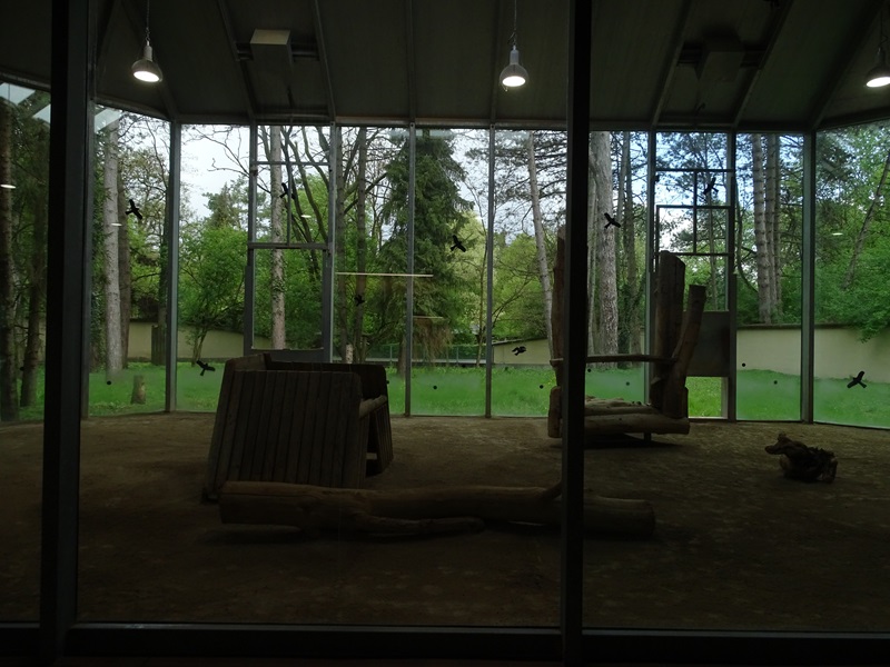 Lion House: Striped heyna indoor enclosure