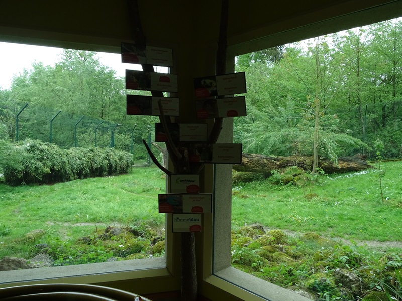 Lion house: Viewing into lion enclosure