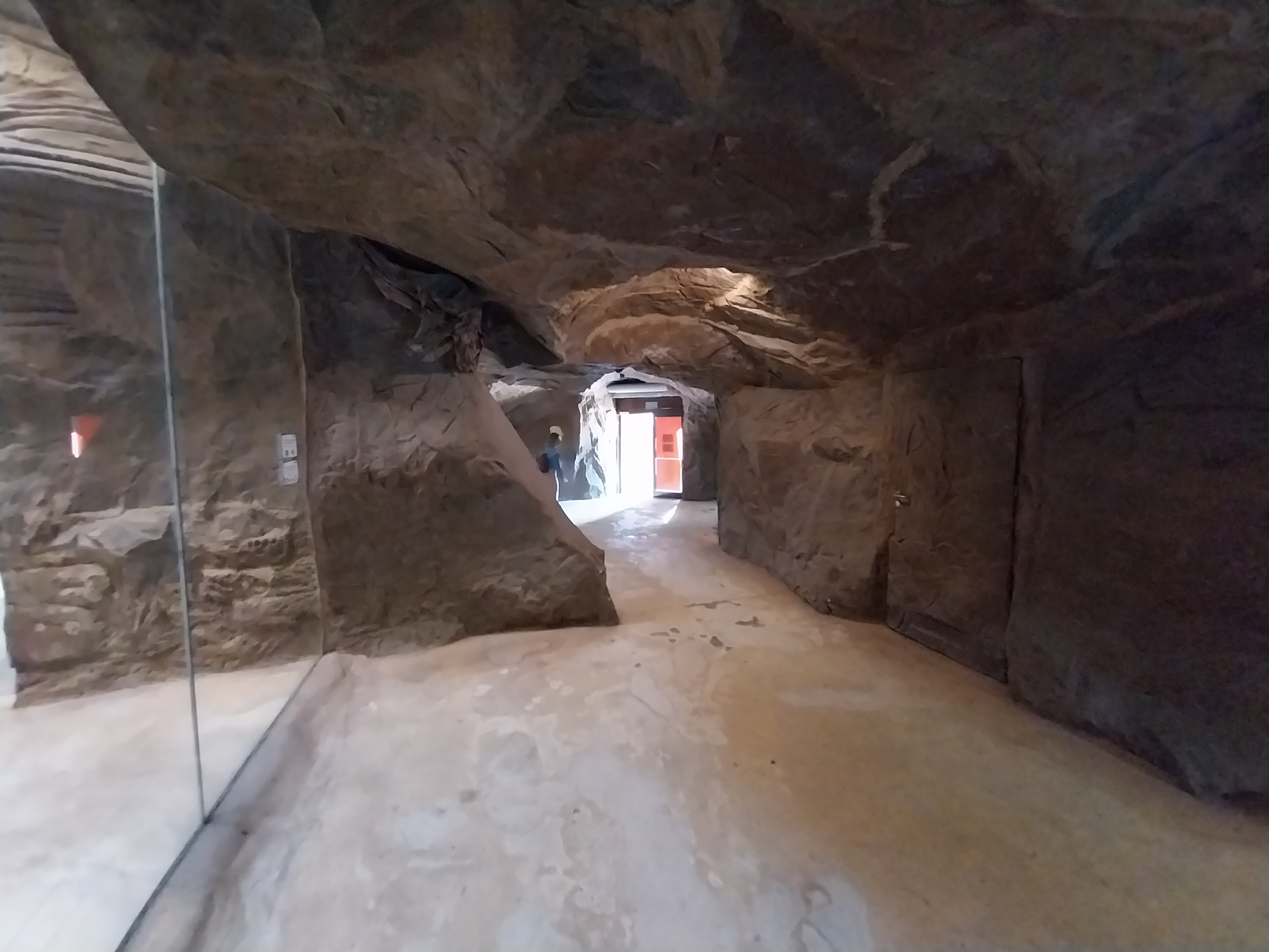 Lion House - Visitor area