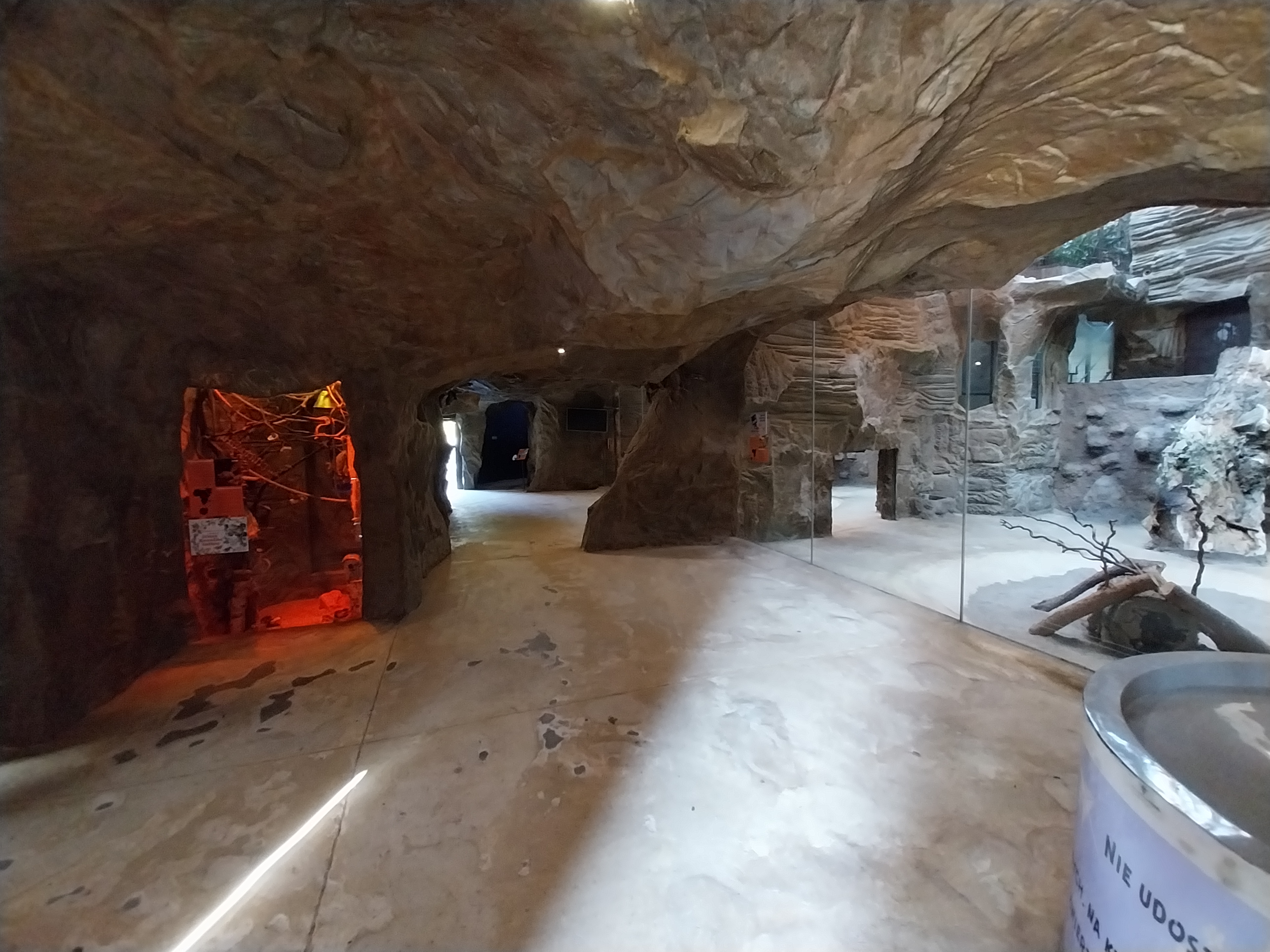 Lion House - Visitor area